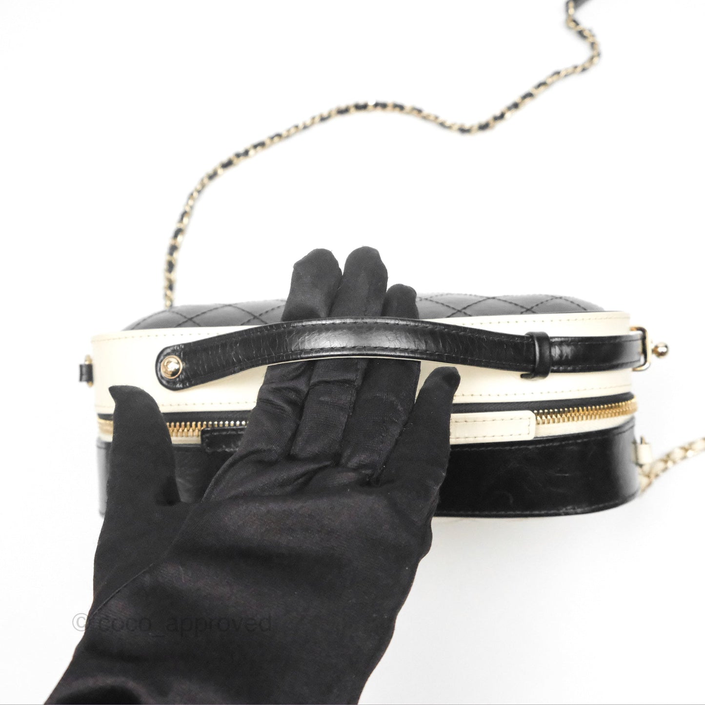Chanel Camera Case Bag Black/White Calfskin Gold Hardware