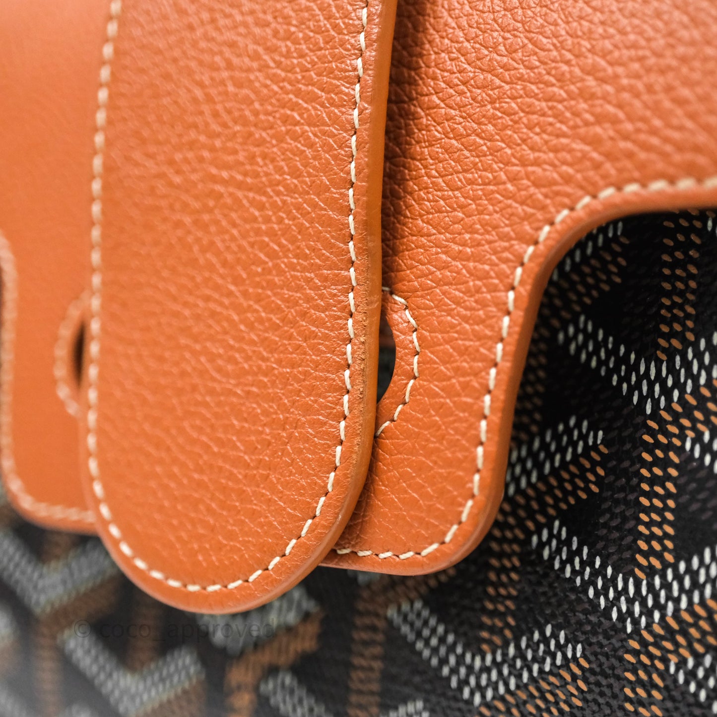 Goyard Saïgon Mini Bag Tan Goyardine Canvas/Chevroches Calfskin