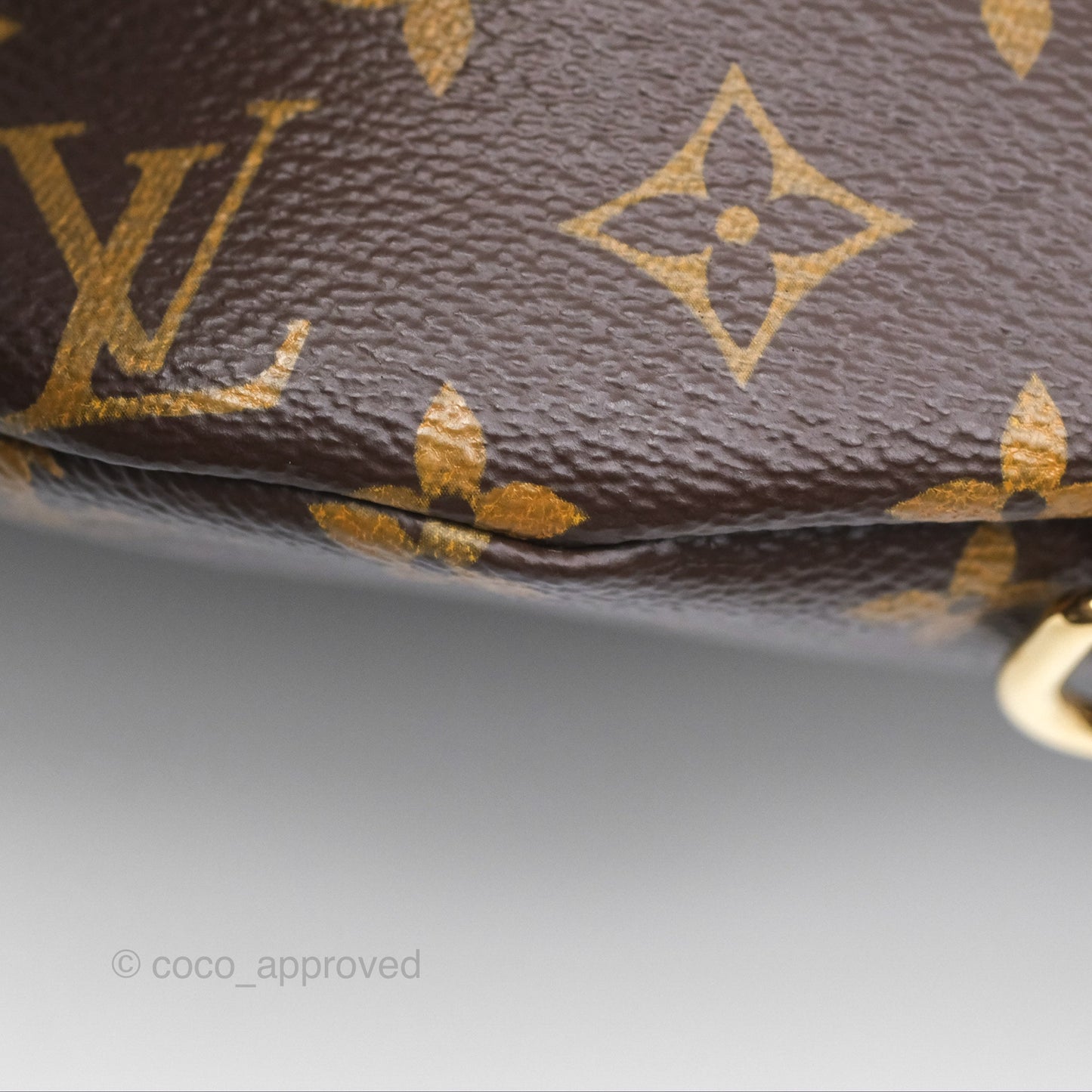 Louis Vuitton Bum Bag Monogram Canvas