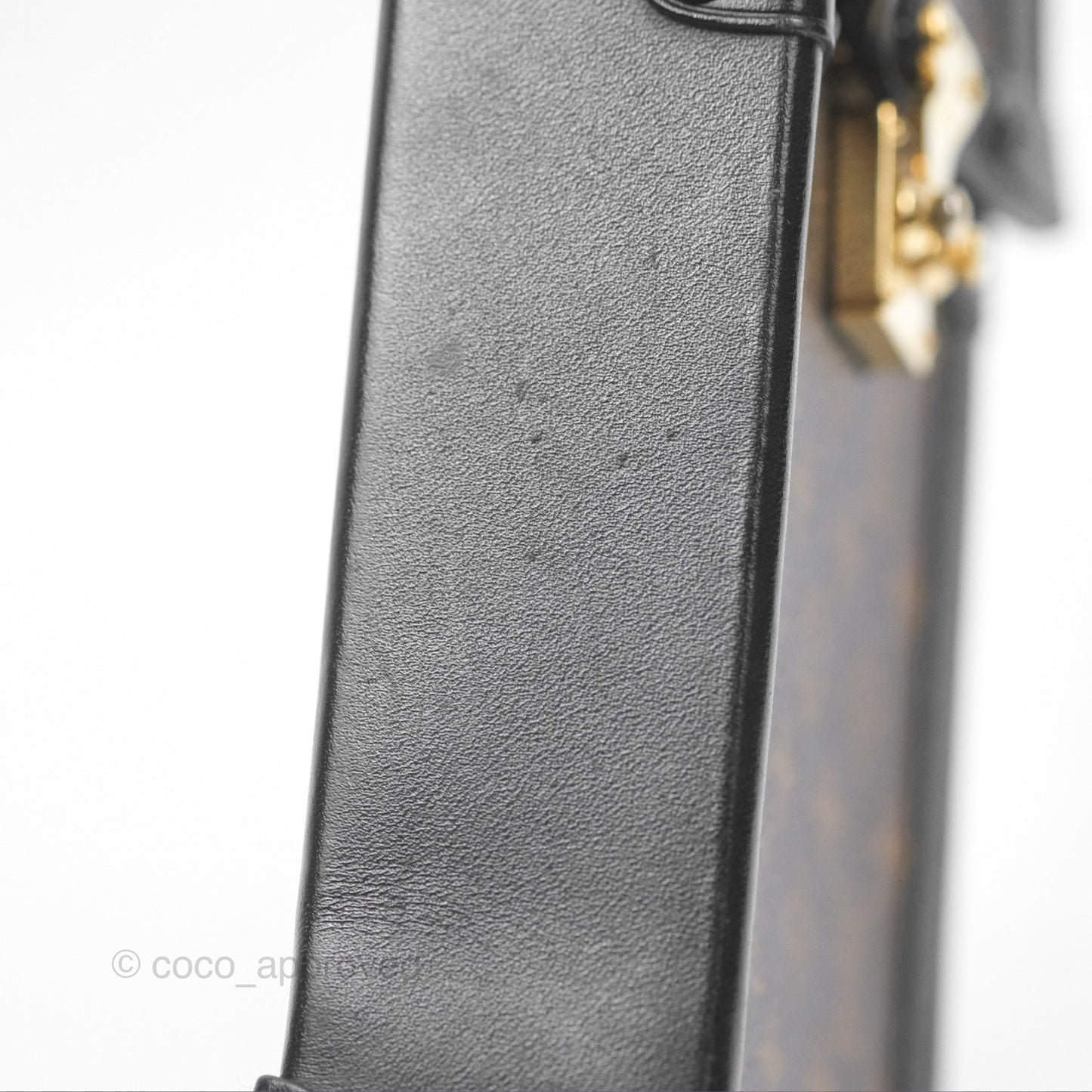Louis Vuitton Monogram Vertical Trunk Pochette