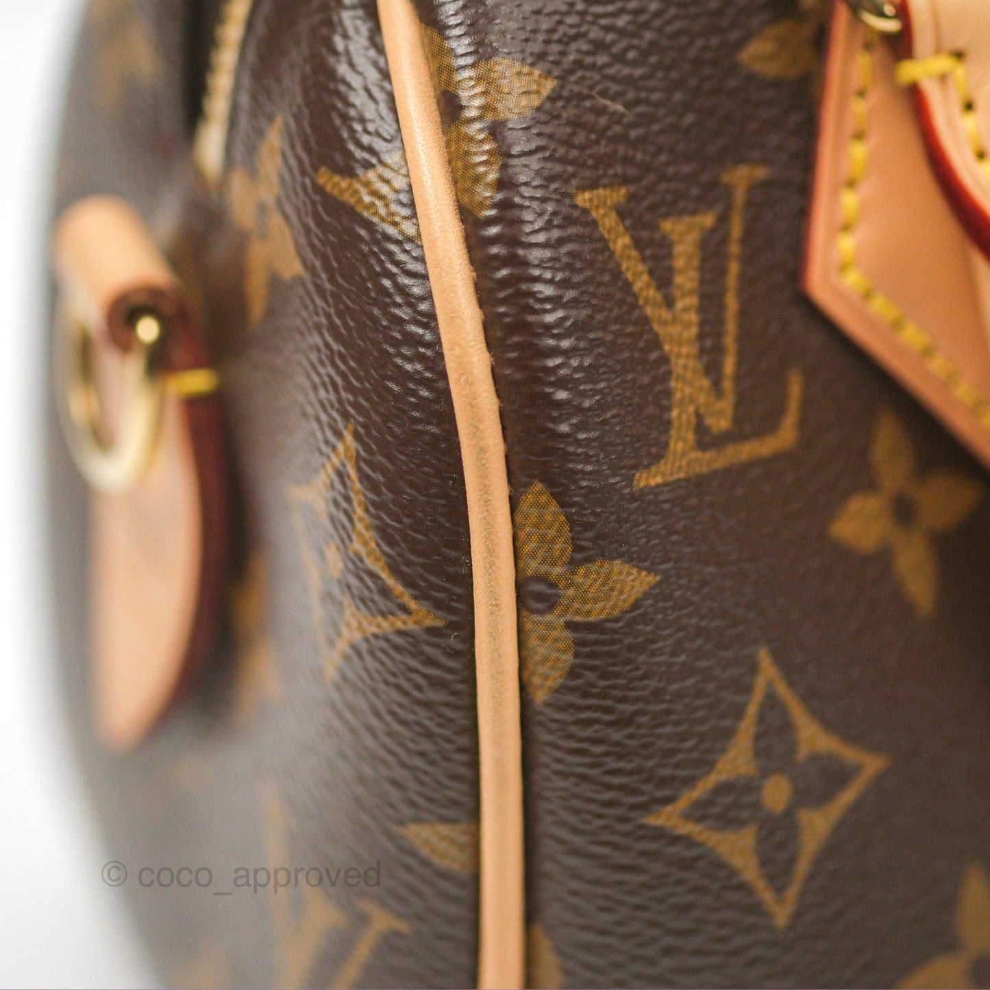 Louis Vuitton Speedy Bandoulière 20 Monogram