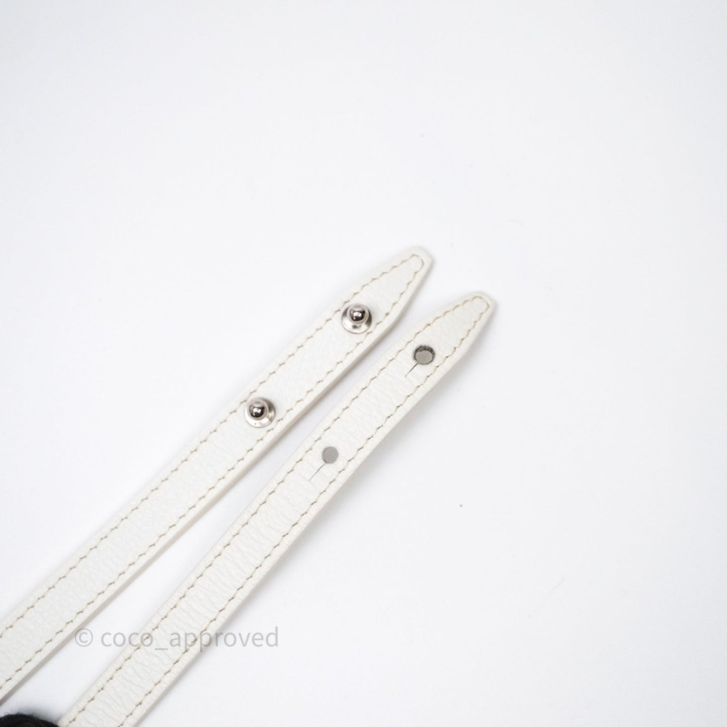 Goyard Saïgon Mini Bag Chevroches Calfskin White Silver Hardware