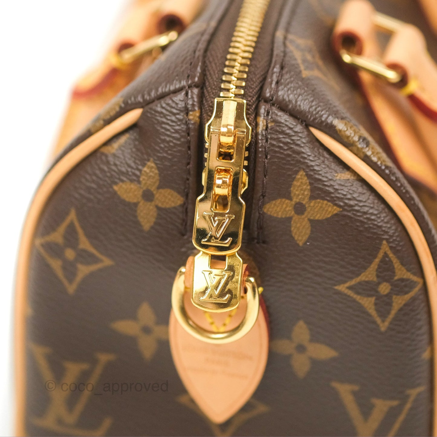 Louis Vuitton Speedy Bandoulière 20 Monogram