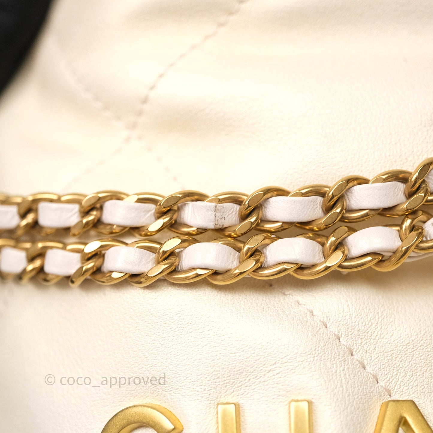 Chanel 22 Mini Bag Iridescent Light Pearly Calfskin Aged Gold Hardware