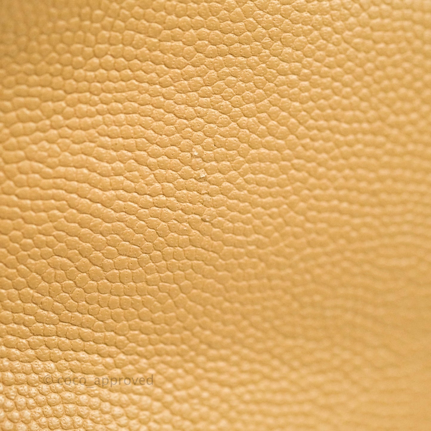 Chanel Caviar Quilted Rolled Up Bucket Drawstring Bag Beige Gold Hardware 19B