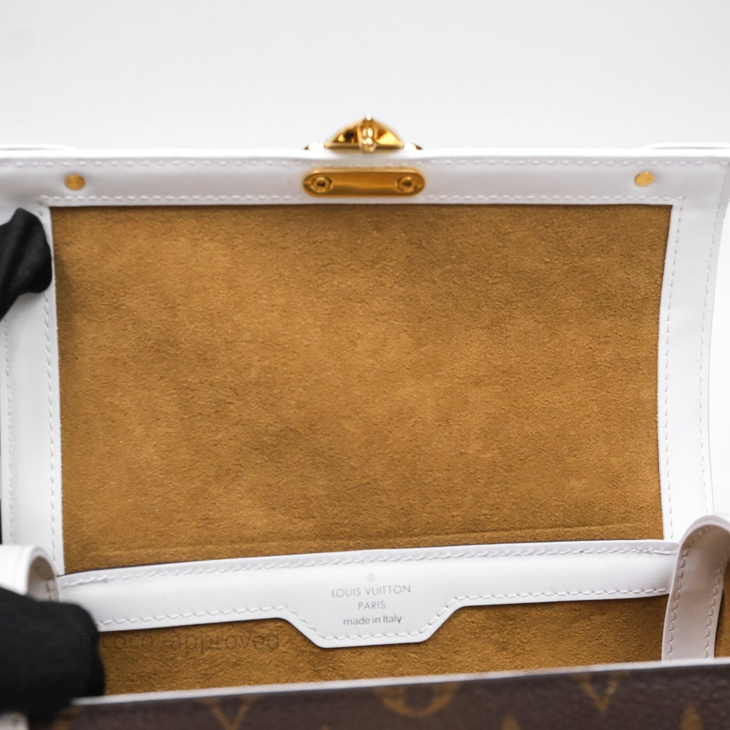 Louis Vuitton Monogram Papillon Trunk Bag