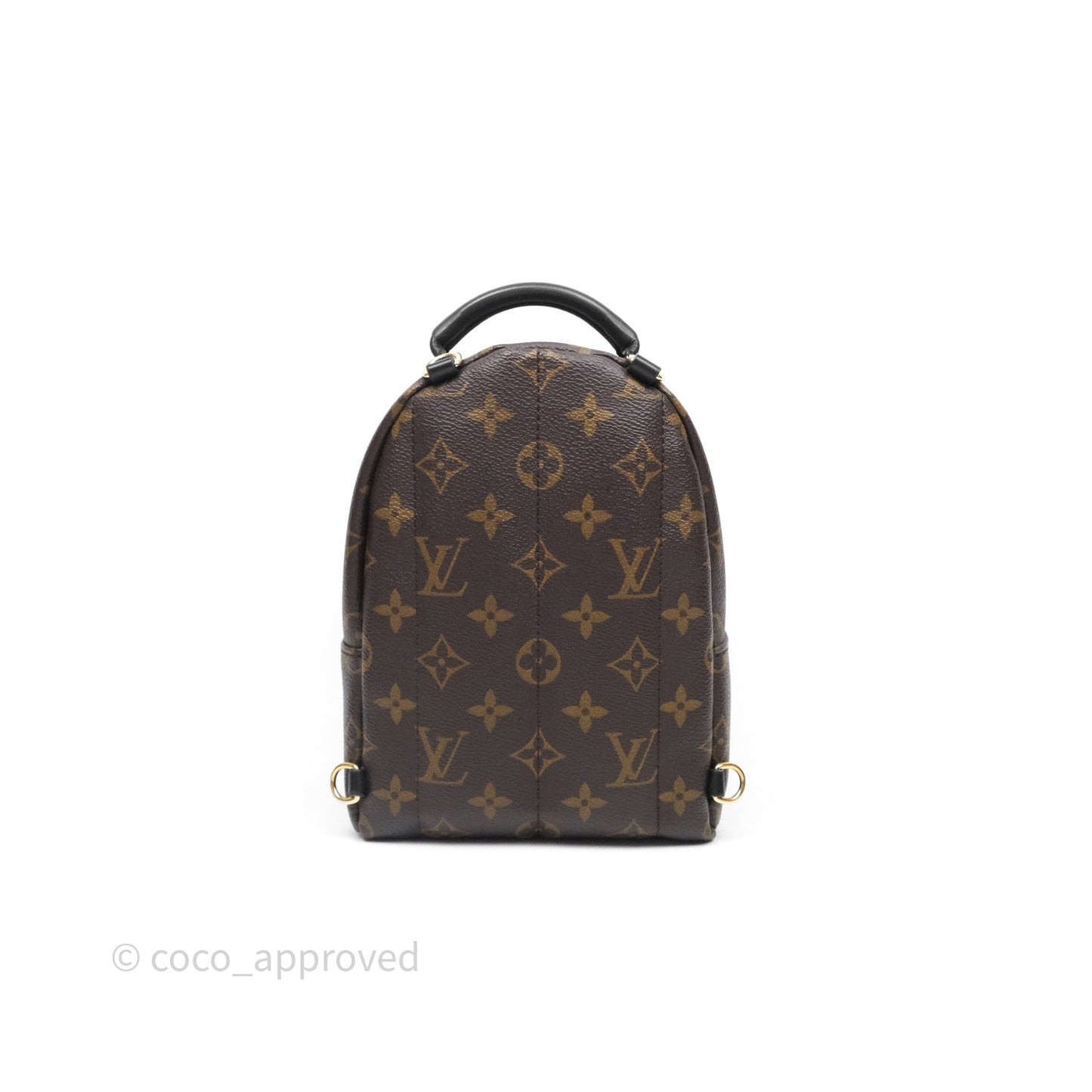 Louis Vuitton Mini Palm Springs Backpack⁣ Monogram