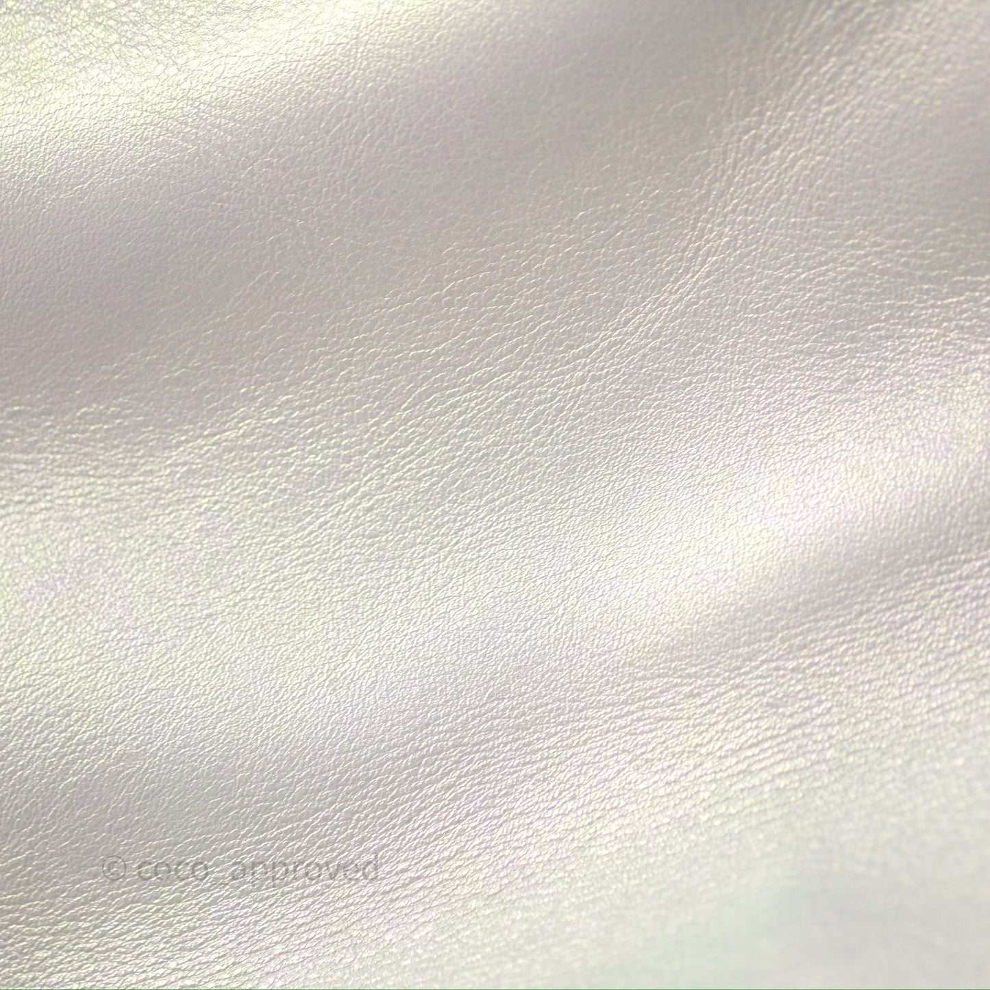 Chanel 19 Small Iridescent White Mixed Hardware