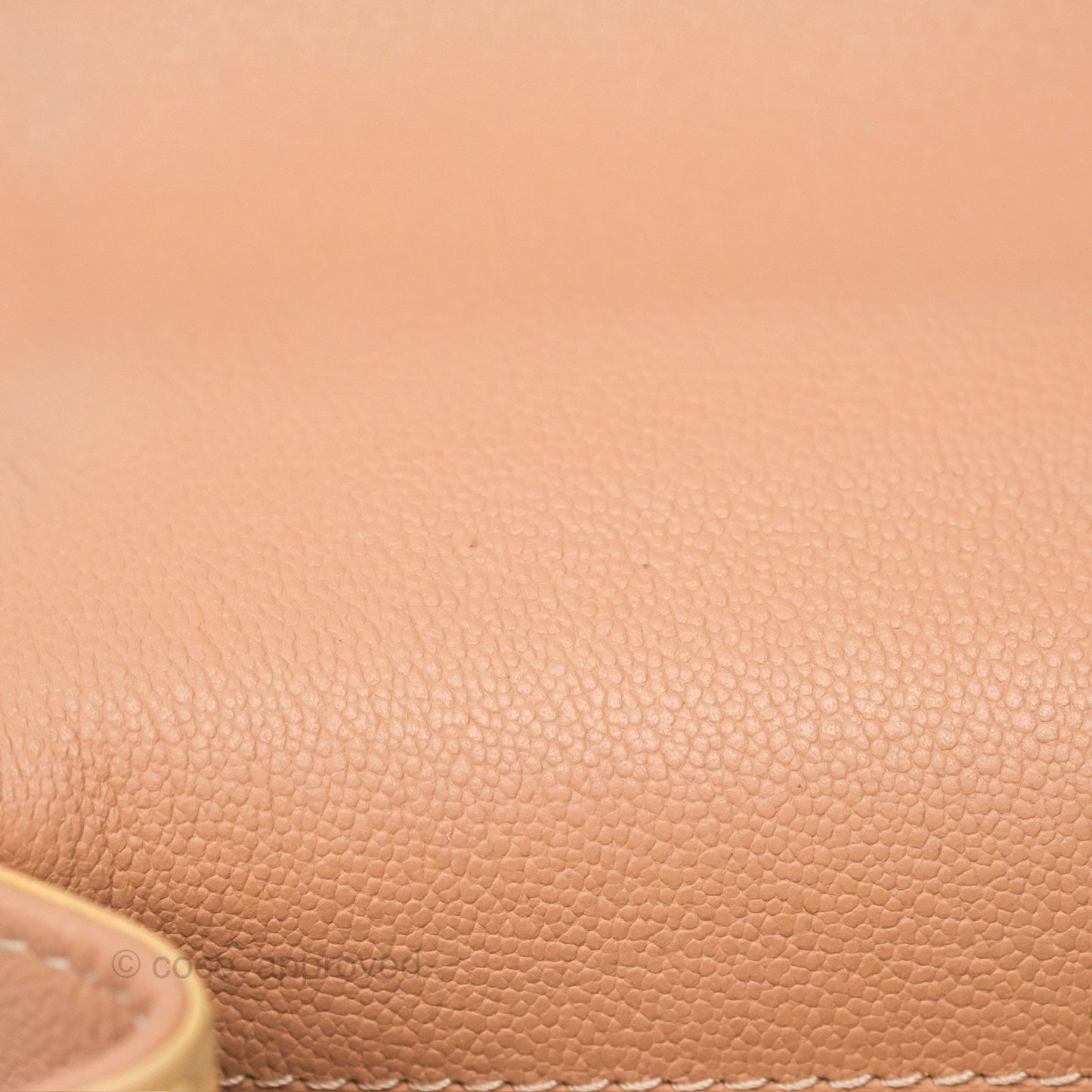 Delvaux Mini Brillant Bag Nude Grained Calfskin Gold Hardware