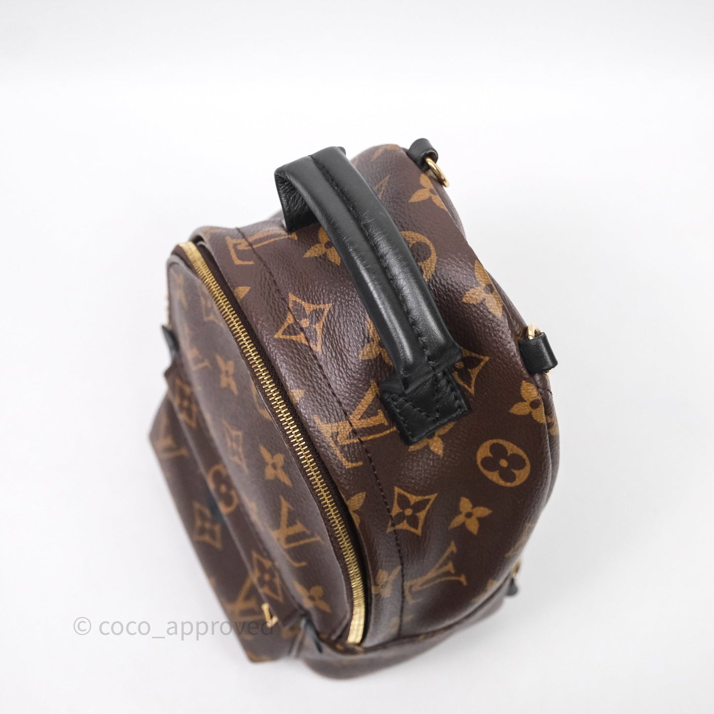 Louis Vuitton Mini Palm Springs Backpack⁣ Monogram