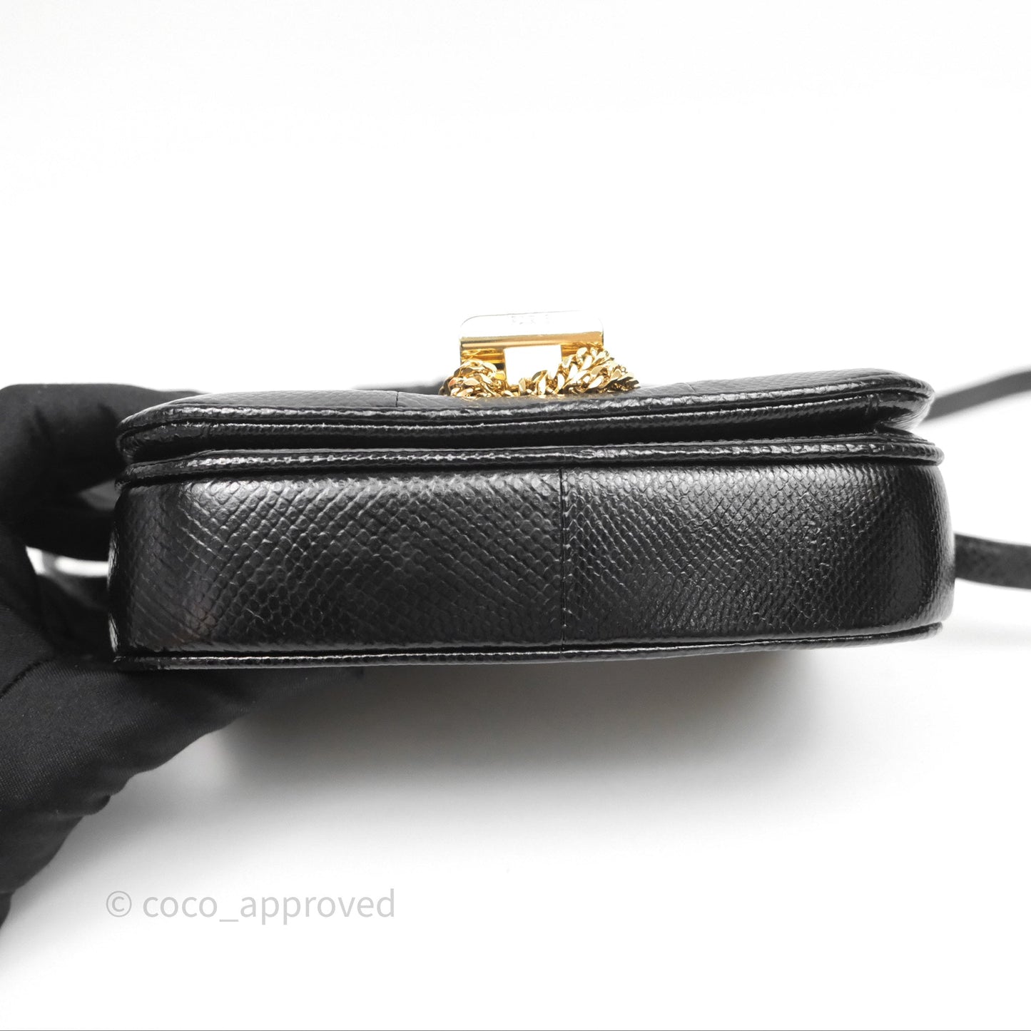 Celine Lizard Small Pampille C Bag Black Gold Hardware