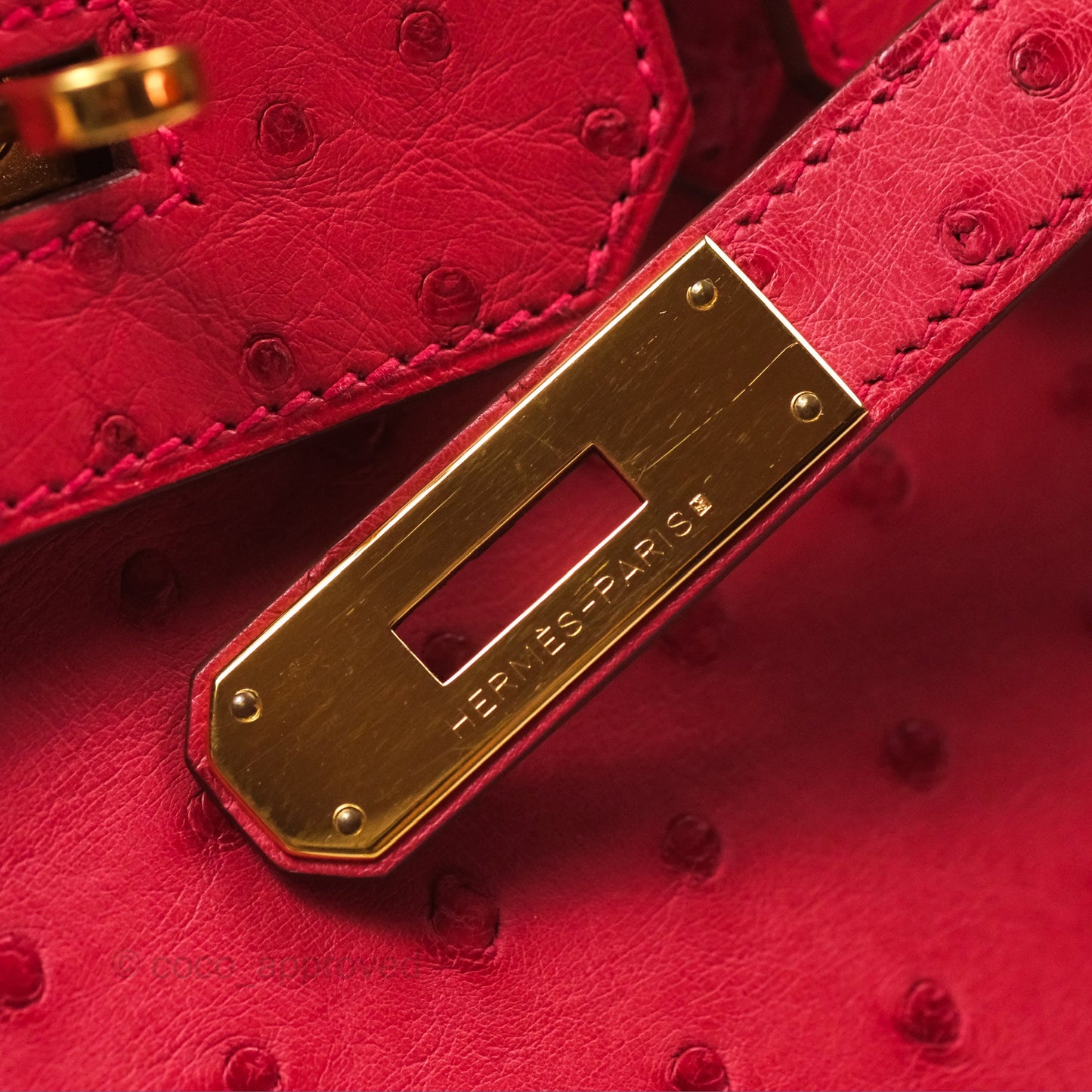 Hermès Birkin Retourne 30 Bougainvillea Ostrich Gold Hardware