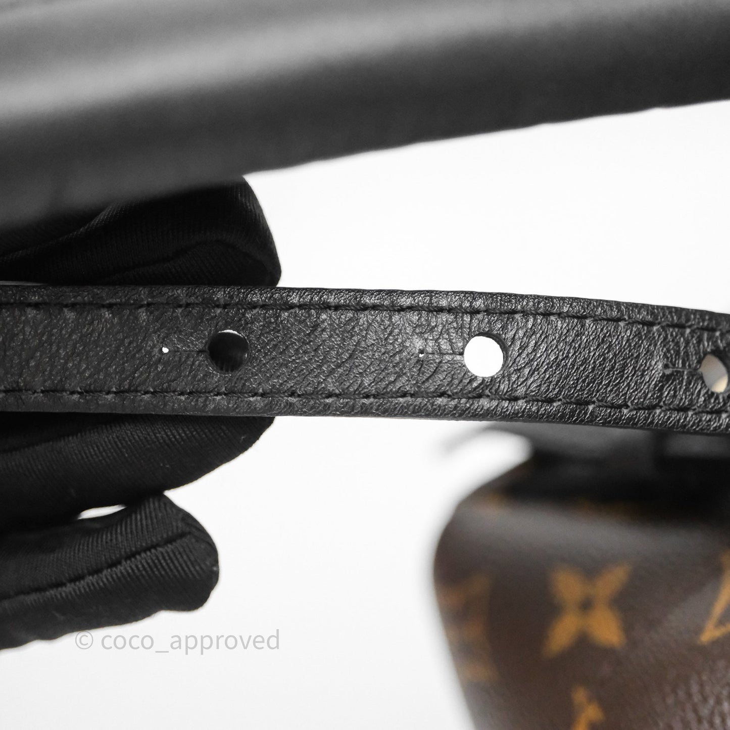 Louis Vuitton Palm Springs Backpack⁣ Monogram PM