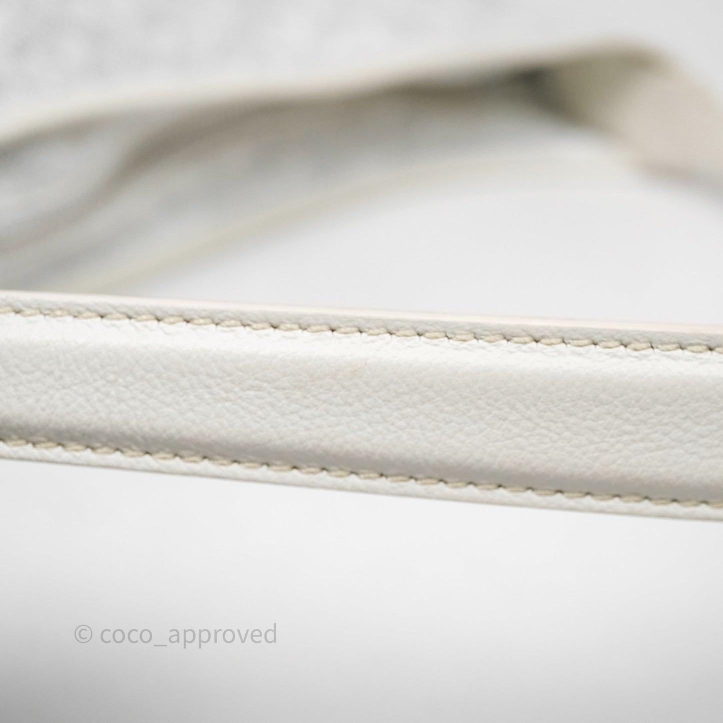 Goyard Bohème Hobo Bag PM White Goyardine Canvas