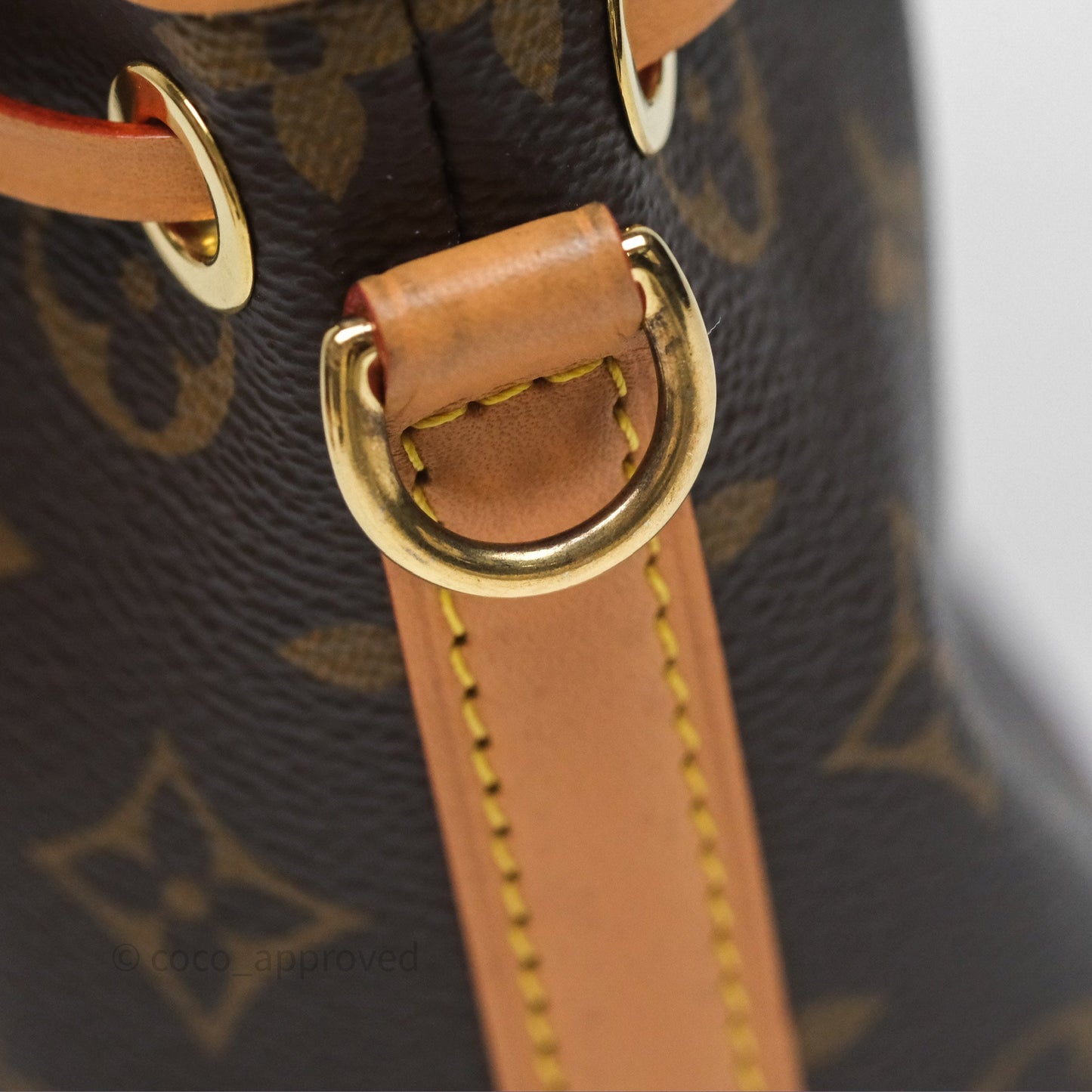 Louis Vuitton Nano Noe Monogram