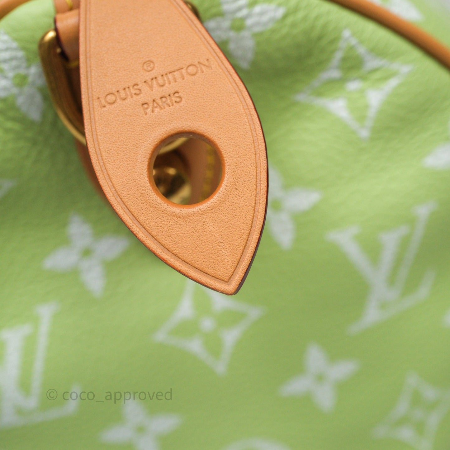 Louis Vuitton Speedy P9 Bandouliere 30 Vert Clair Bag