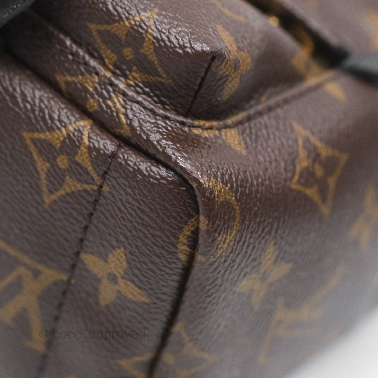 Louis Vuitton Monogram Mini Palm Springs Backpack⁣
