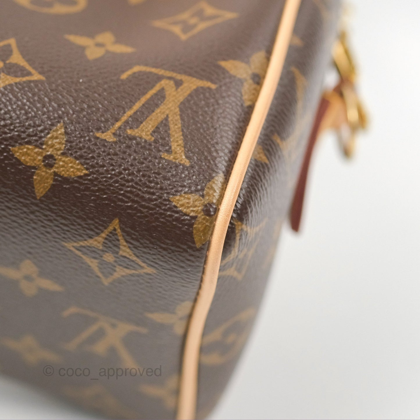 Louis Vuitton Speedy Bandoulière 20 Monogram