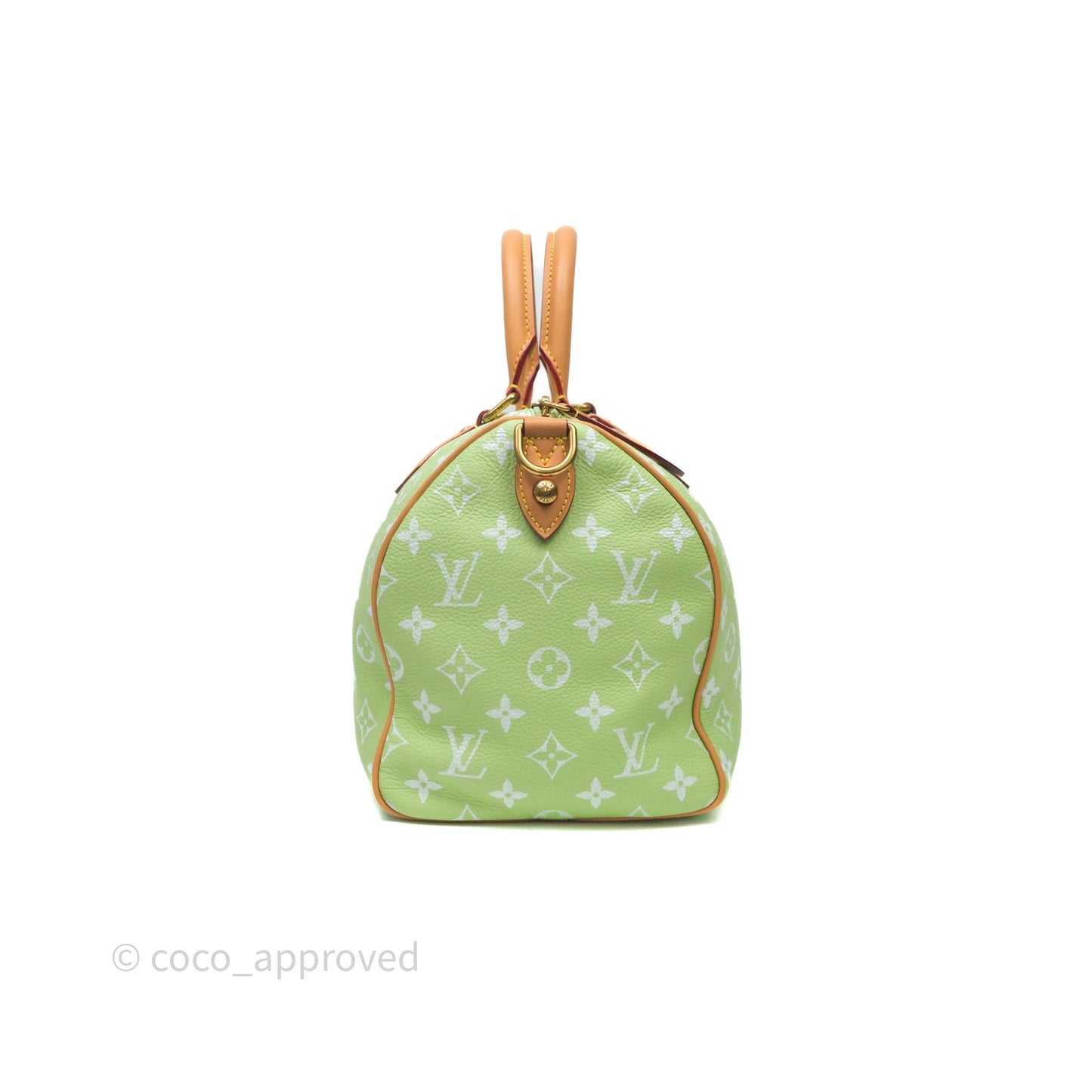 Louis Vuitton Speedy P9 Bandouliere 30 Vert Clair Bag