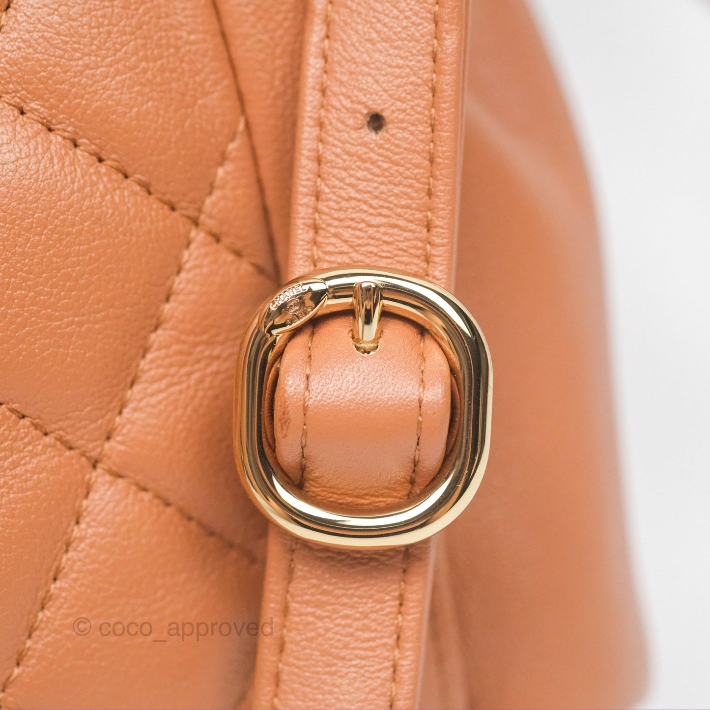 Chanel Small Duma Drawstring Backpack Camel Calfskin 24P