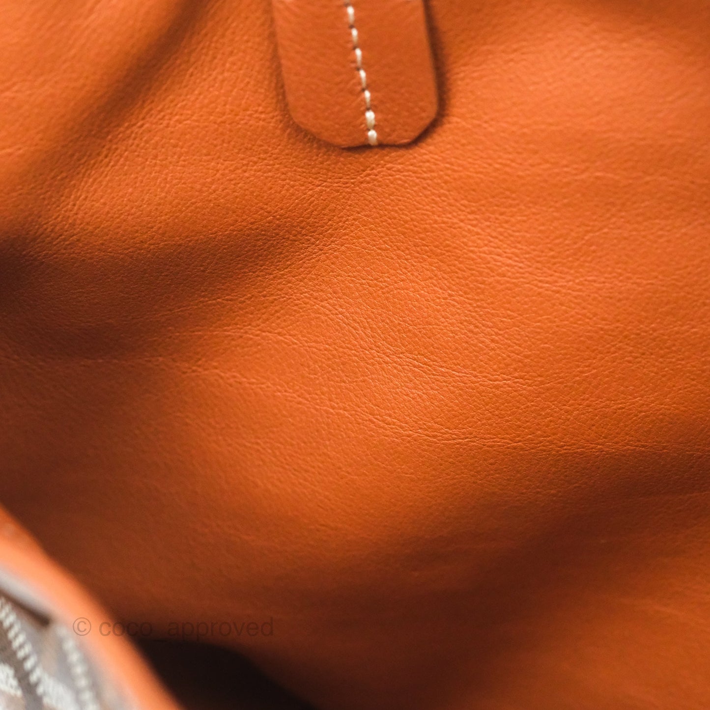 Goyard Anjou Mini Bag Goyardine Canvas Black/ Tan