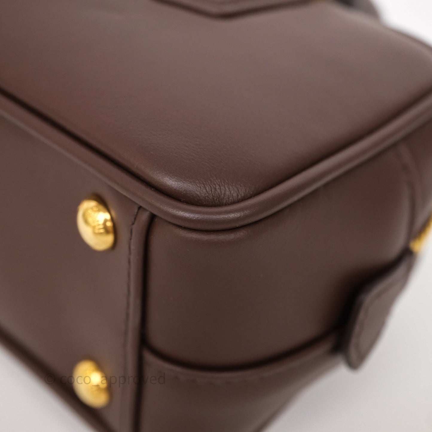 Miu Miu Arcadie Leather Bag Briarwood