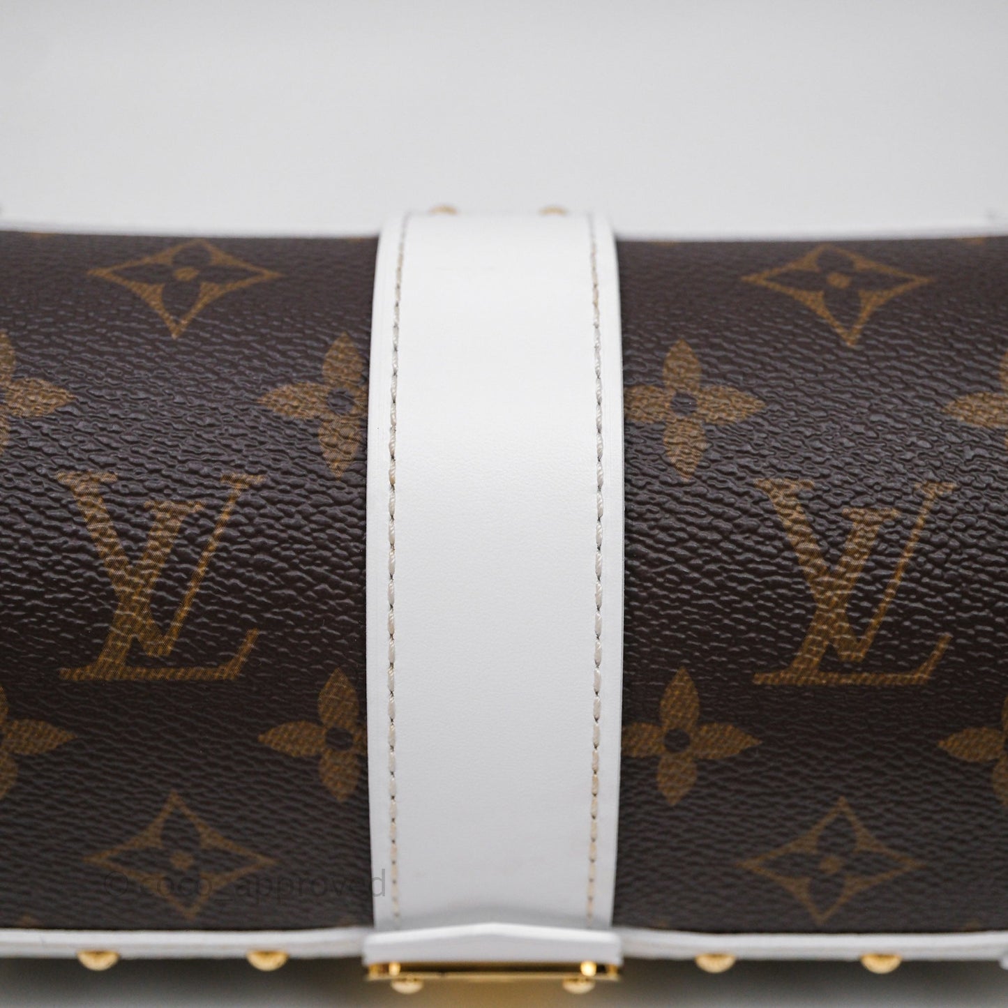 Louis Vuitton Monogram Papillon Trunk Bag
