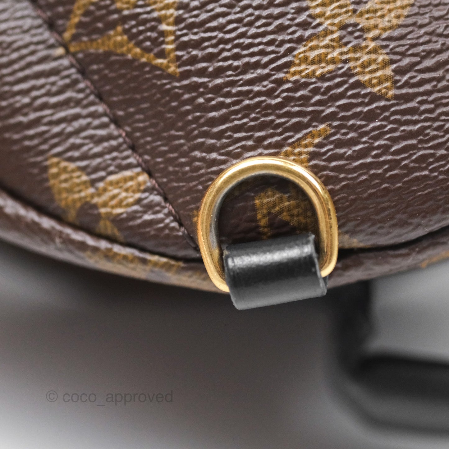Louis Vuitton Monogram Mini Palm Springs Backpack⁣