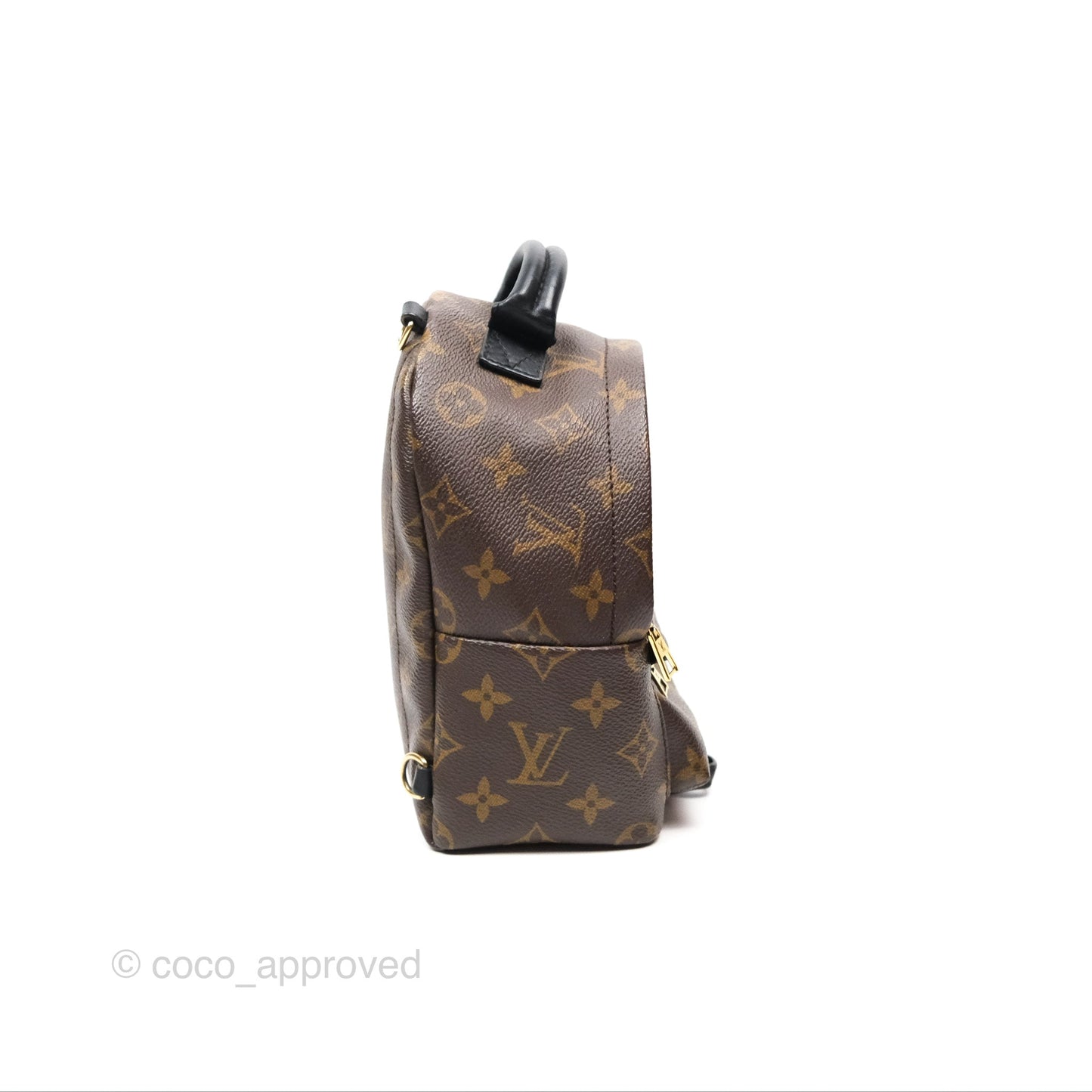 Louis Vuitton Mini Palm Springs Backpack⁣ Monogram