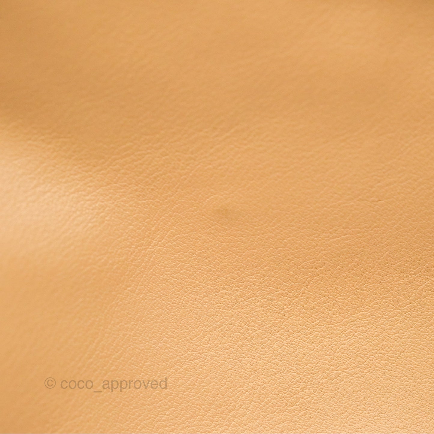 Bottega Veneta Teen Double Knot Hobo Almond Calfskin