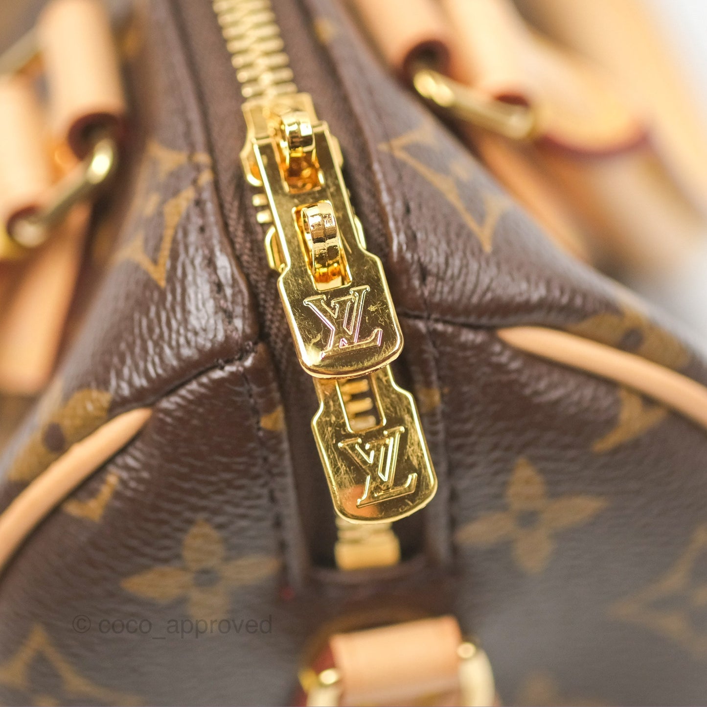 Louis Vuitton Speedy Bandoulière 20 Monogram