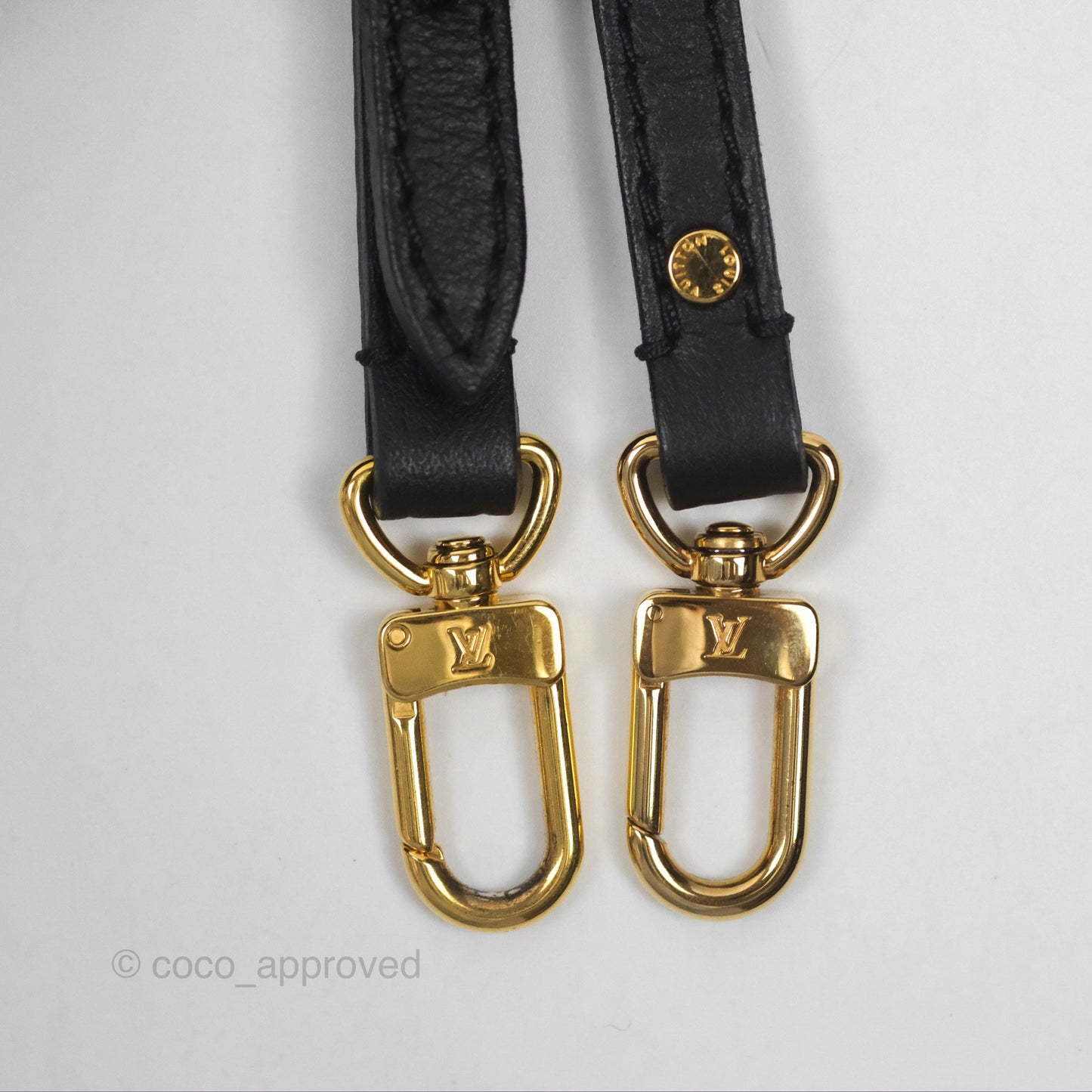 Louis Vuitton Monogram Mini Palm Springs Backpack⁣