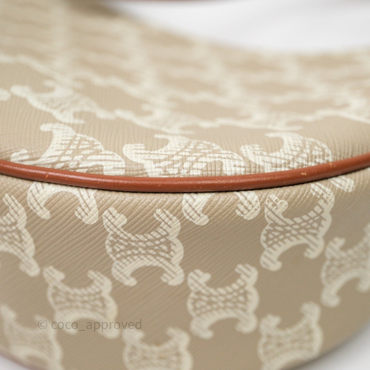Celine Ava Bag In Triomphe Canvas Calfskin Grege