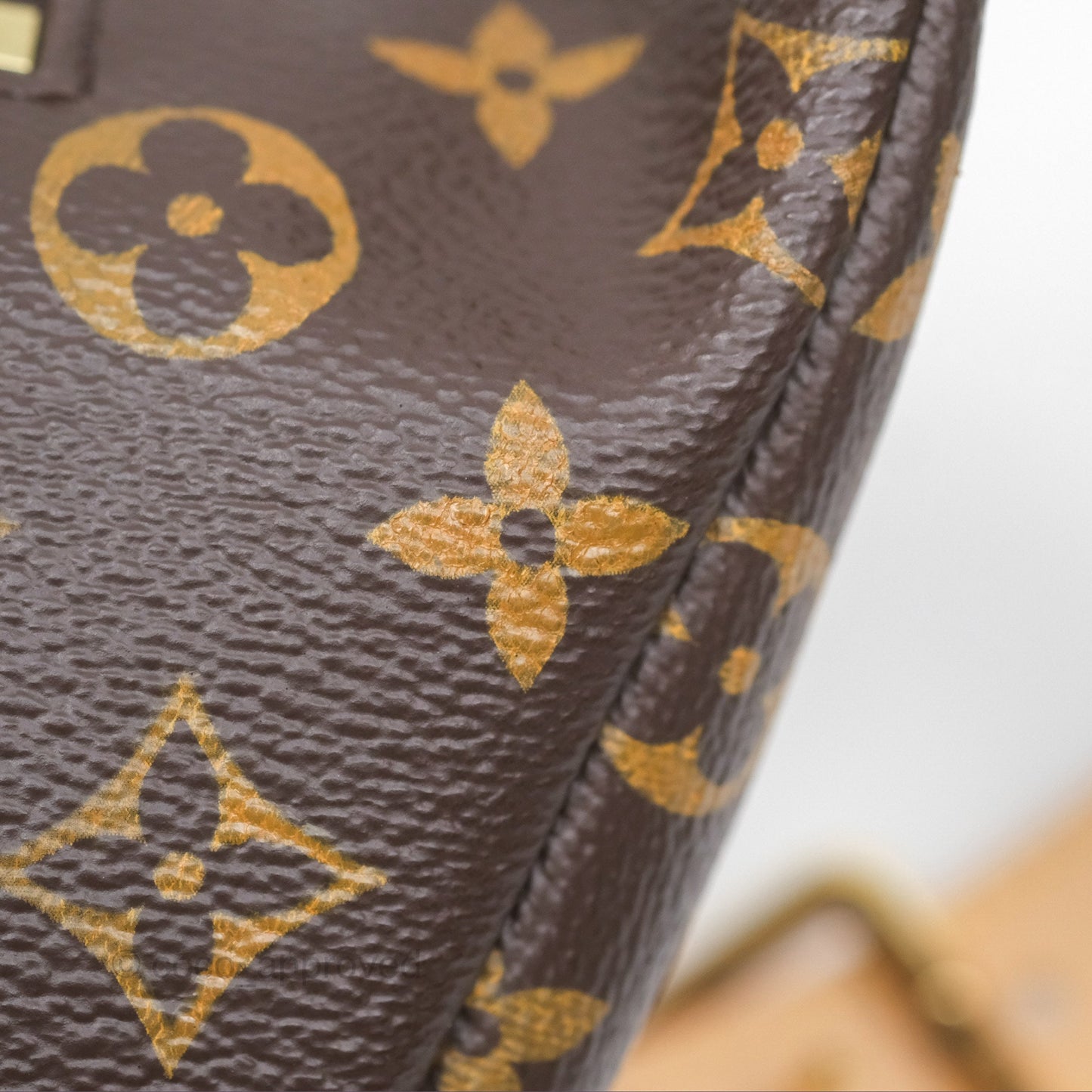 Louis Vuitton Bum Bag Monogram Canvas