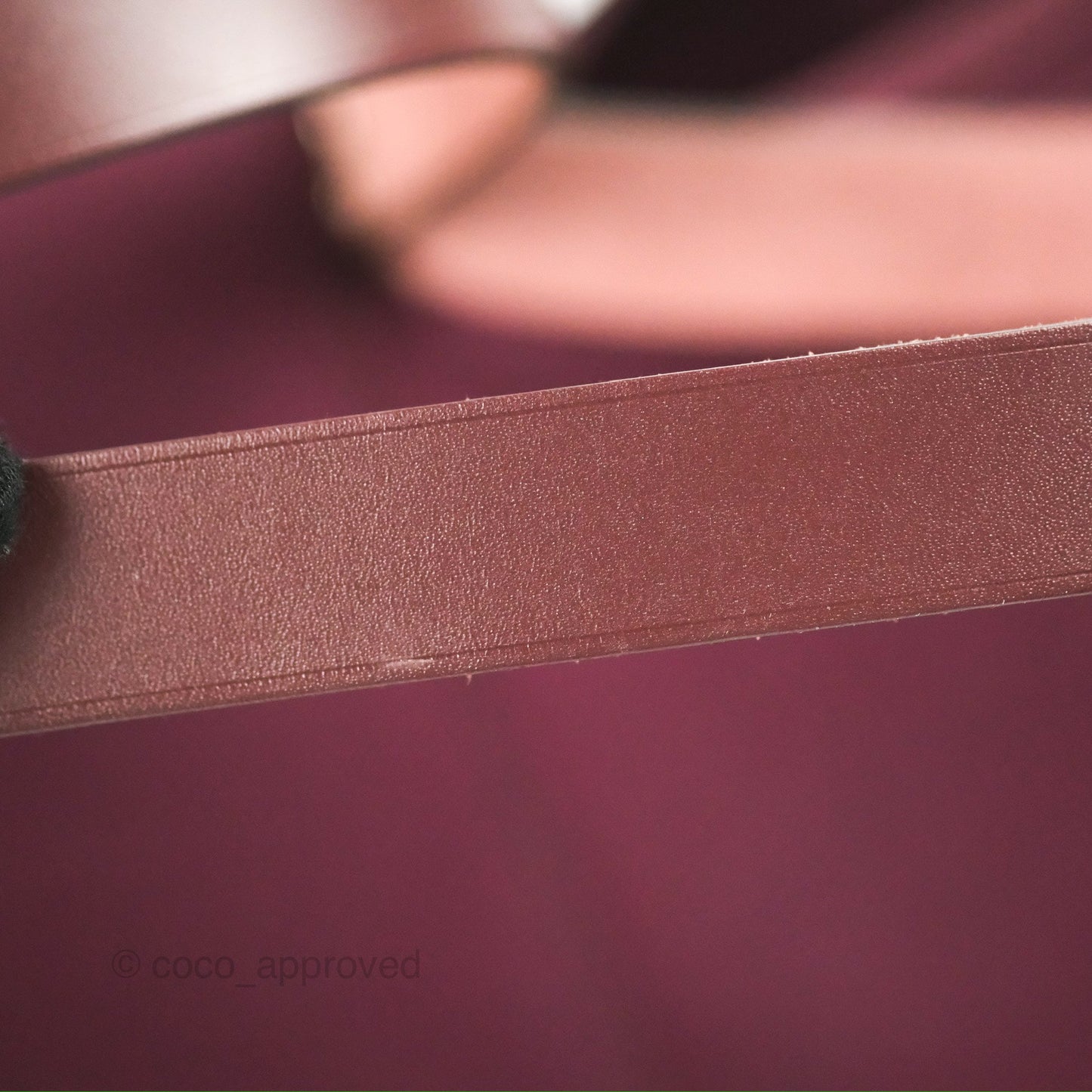 Hermès Cabag Elan Bag Purple Canvas