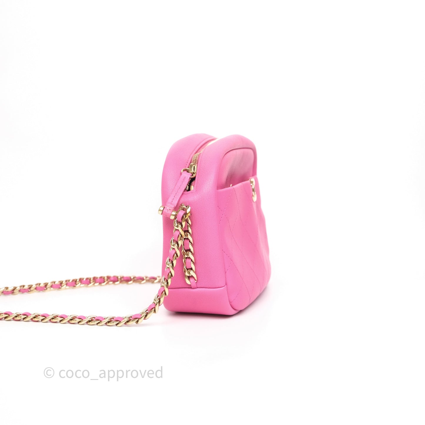 Chanel Camera Bag Pink Calfskin Aged Gold Hardware