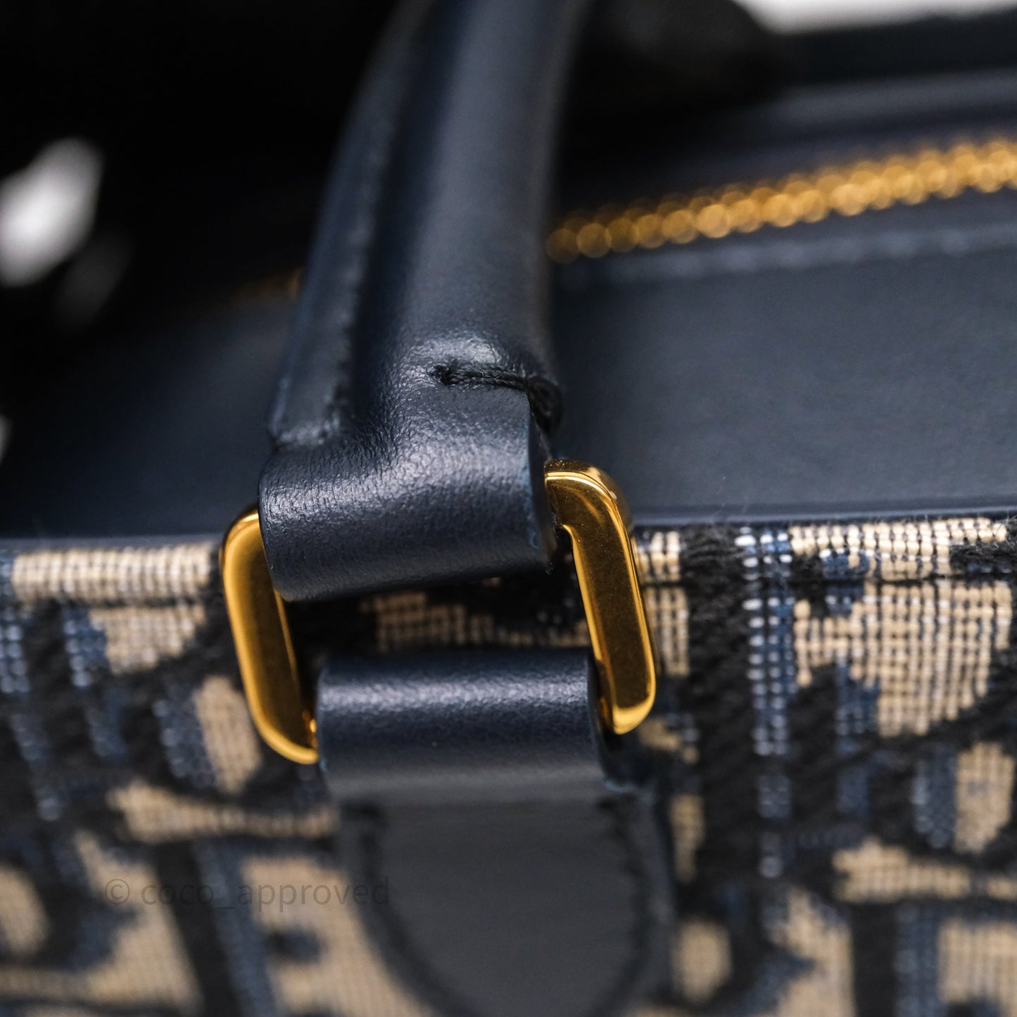 Christian Dior 30 Montaigne Doctor Mini Bag