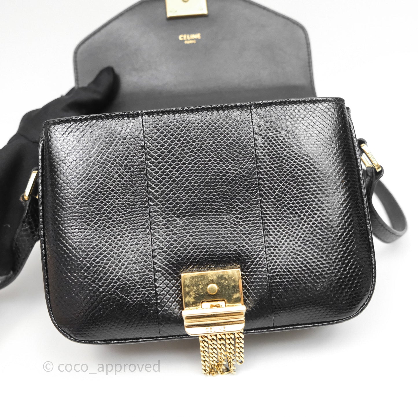 Celine Lizard Small Pampille C Bag Black Gold Hardware