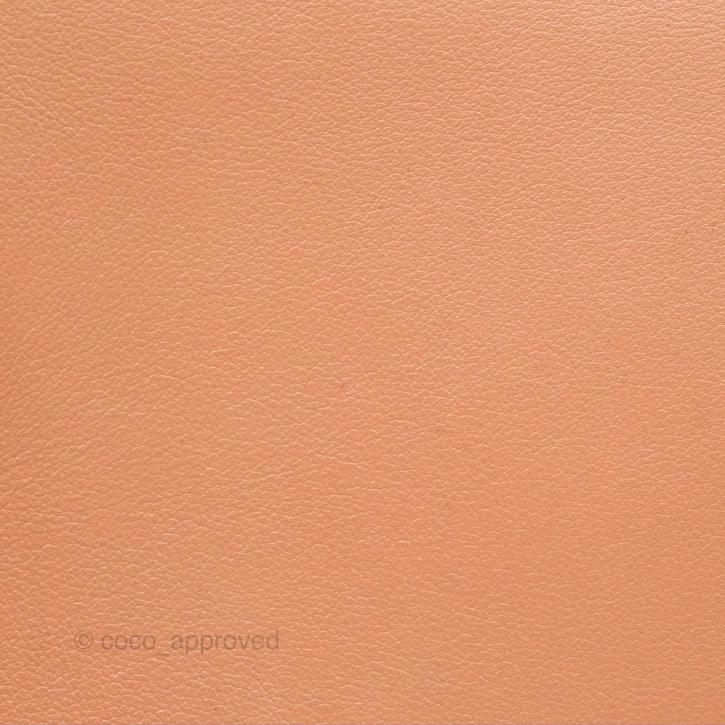 Delvaux Tempête Mini Beige Supple Calfskin Gold Hardware