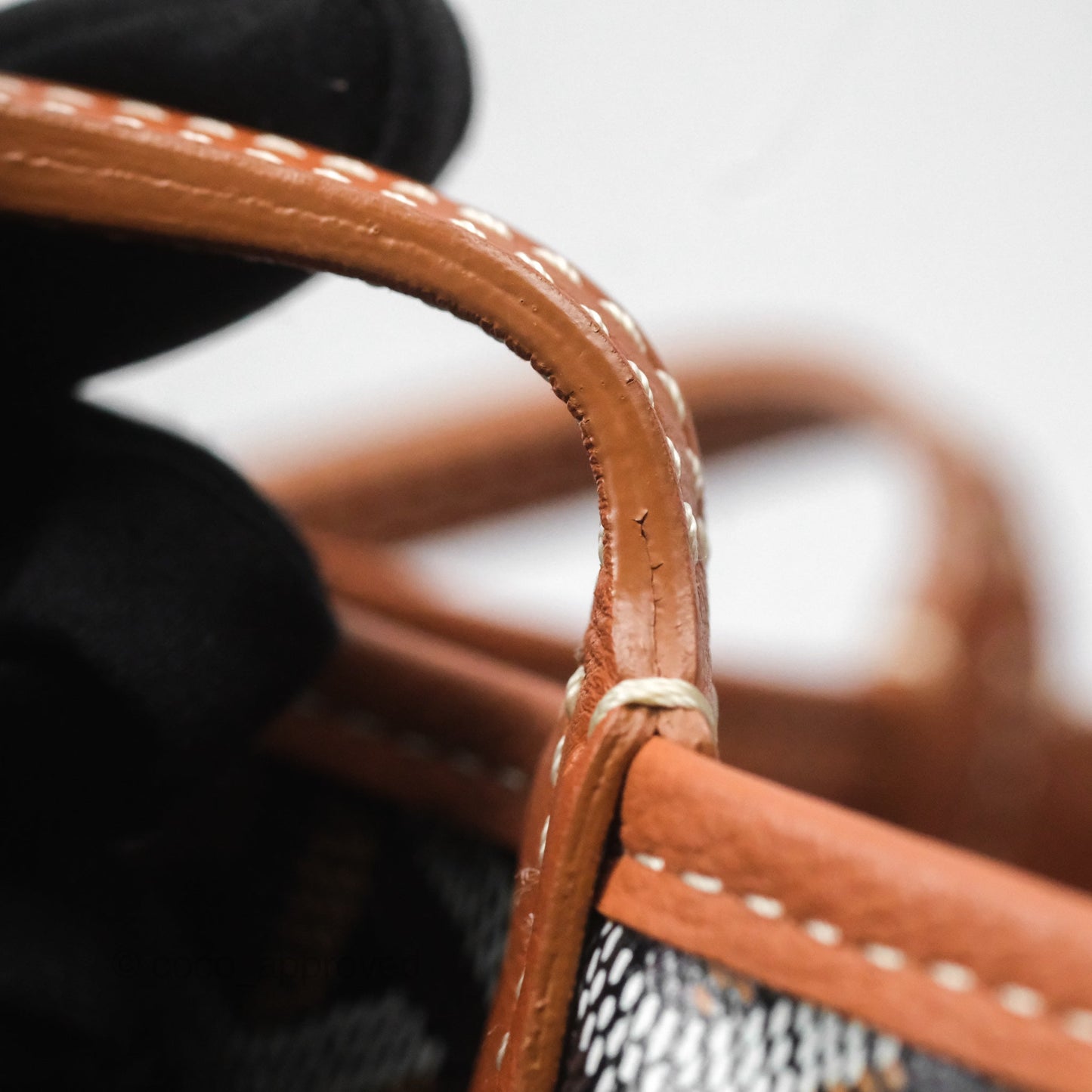 Goyard Anjou Mini Bag Goyardine Canvas Black/ Tan
