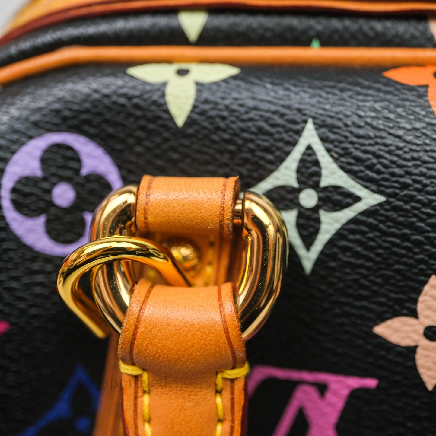 Louis Vuitton x TM Priscilla Bag Multicolor Monogram Canvas