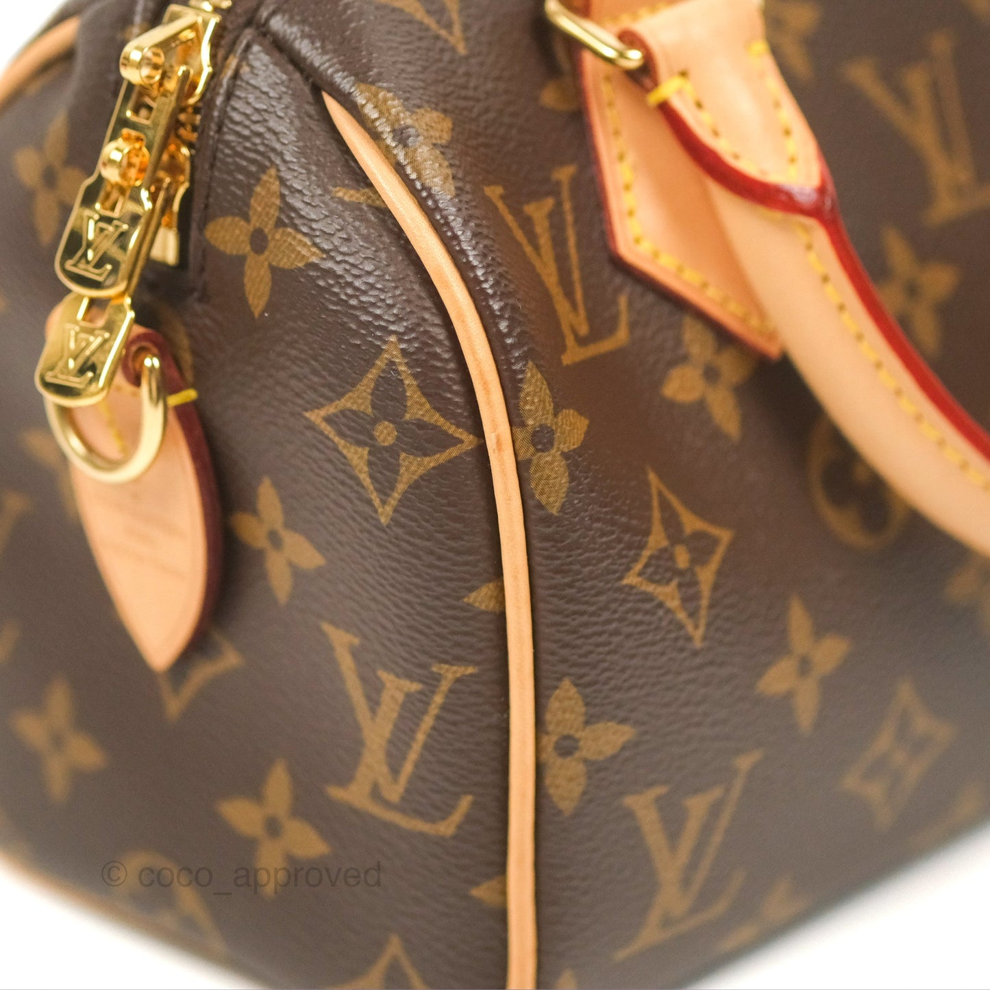 Louis Vuitton Speedy Bandoulière 20 Monogram
