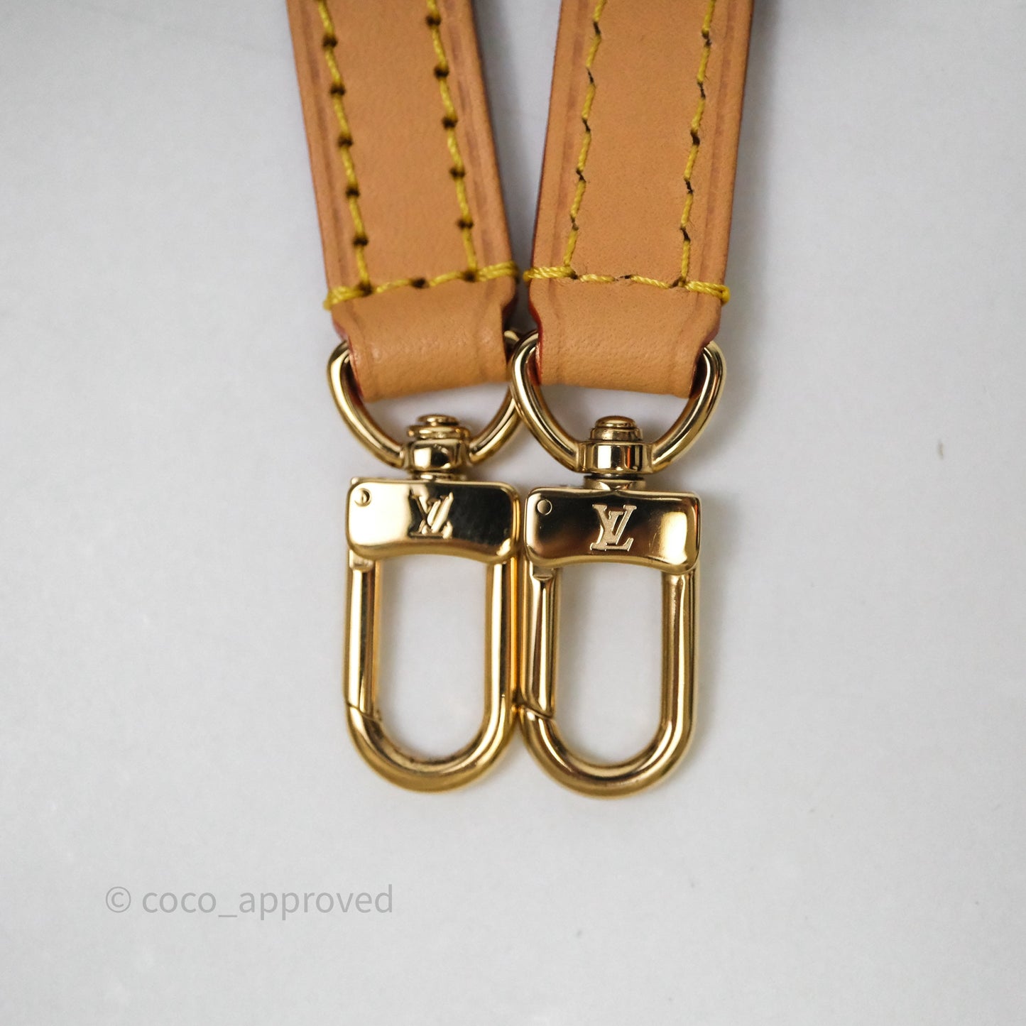 Louis Vuitton Nano Noe Monogram Canvas