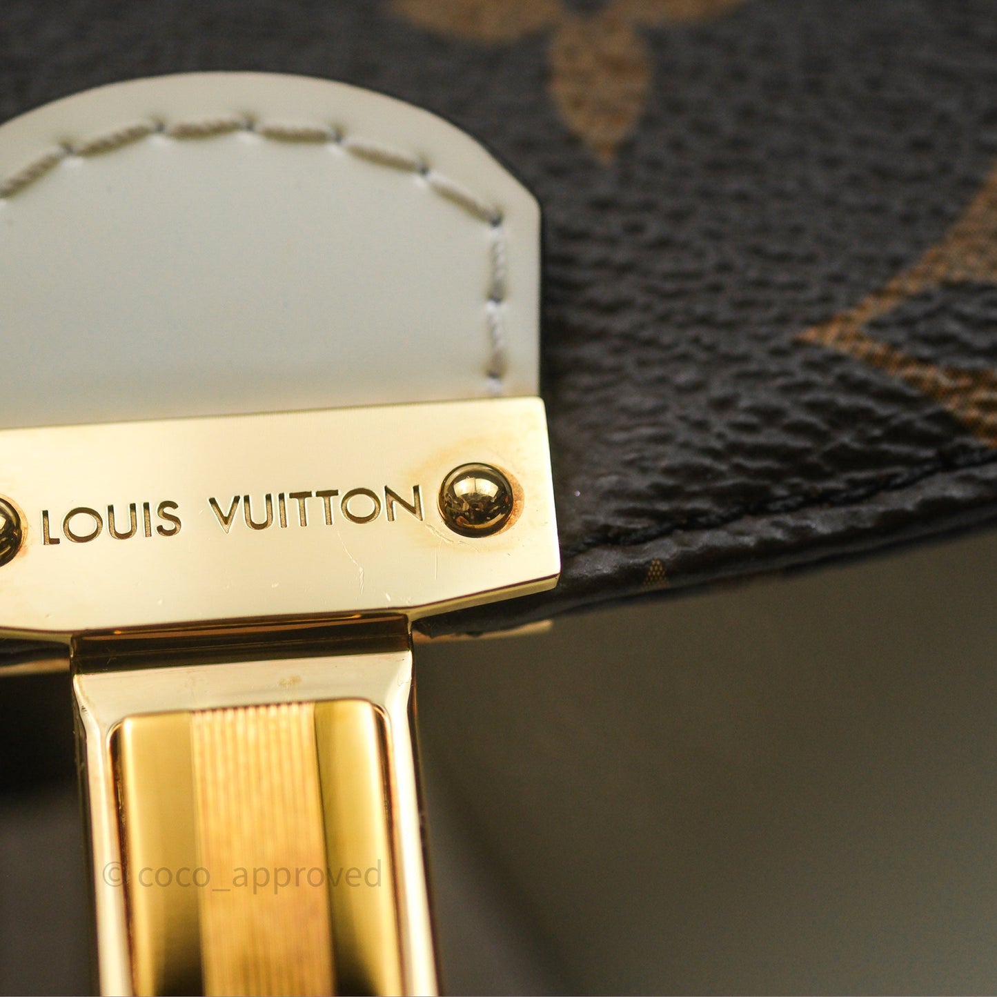 Louis Vuitton Hot Springs Backpack Monogram Patent Snow
