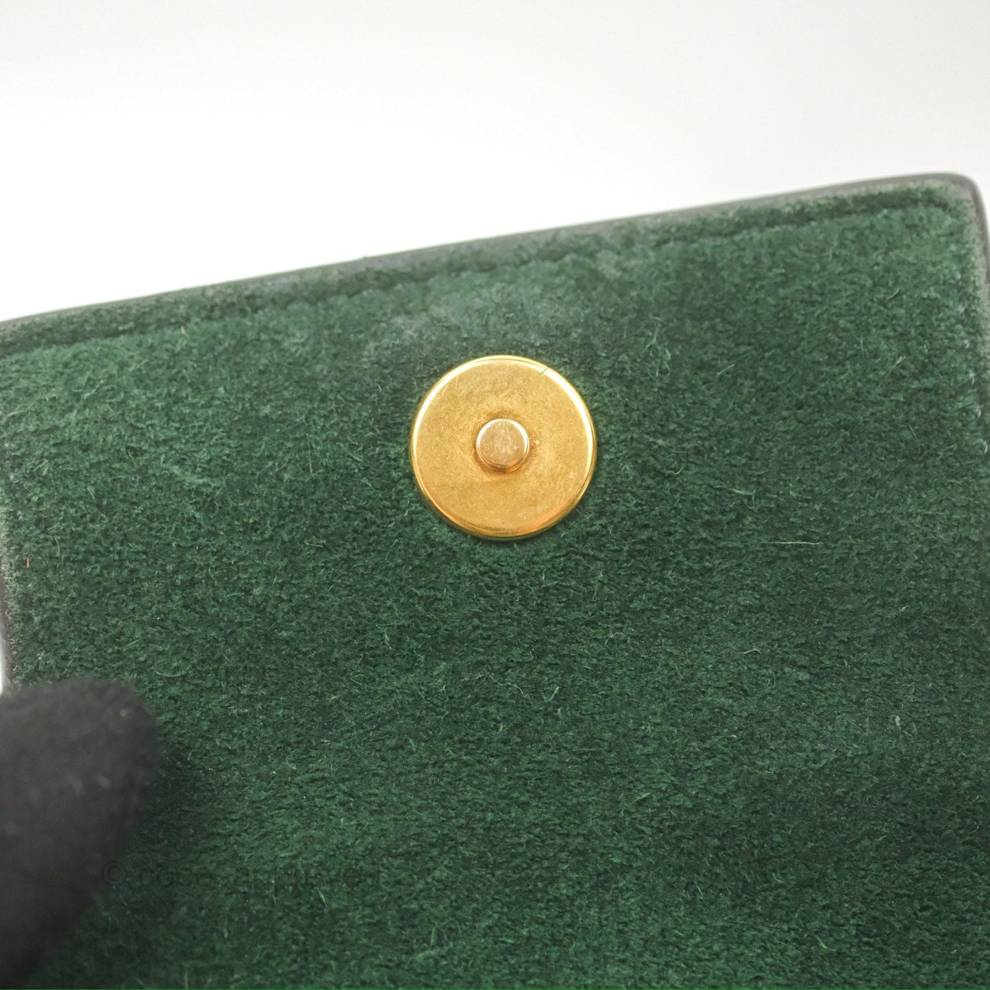 Celine Pico Belt Bag Amazone Green Grained Calfskin Gold Hardware