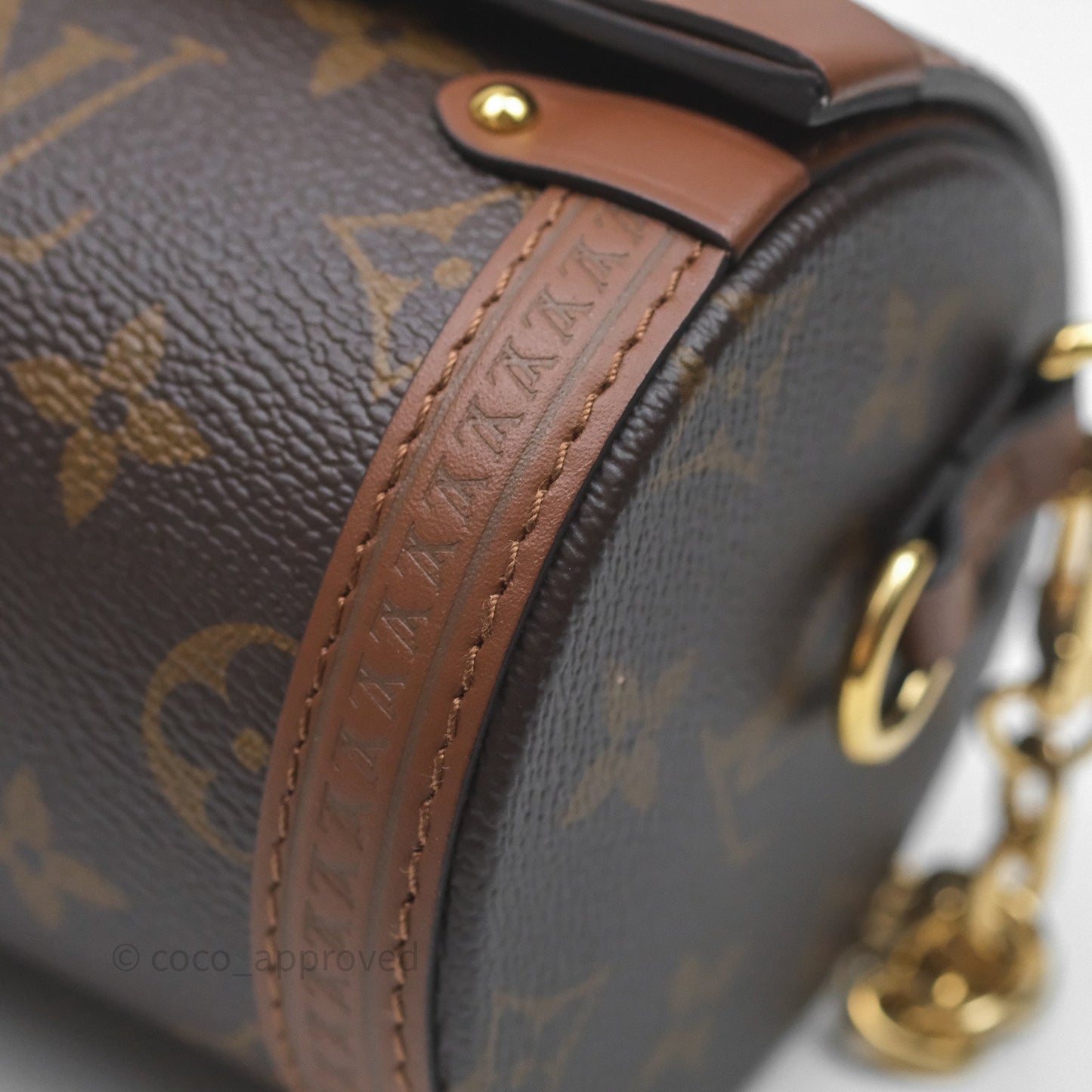 Louis Vuitton Papillon Trunk Monogram Coated Canvas