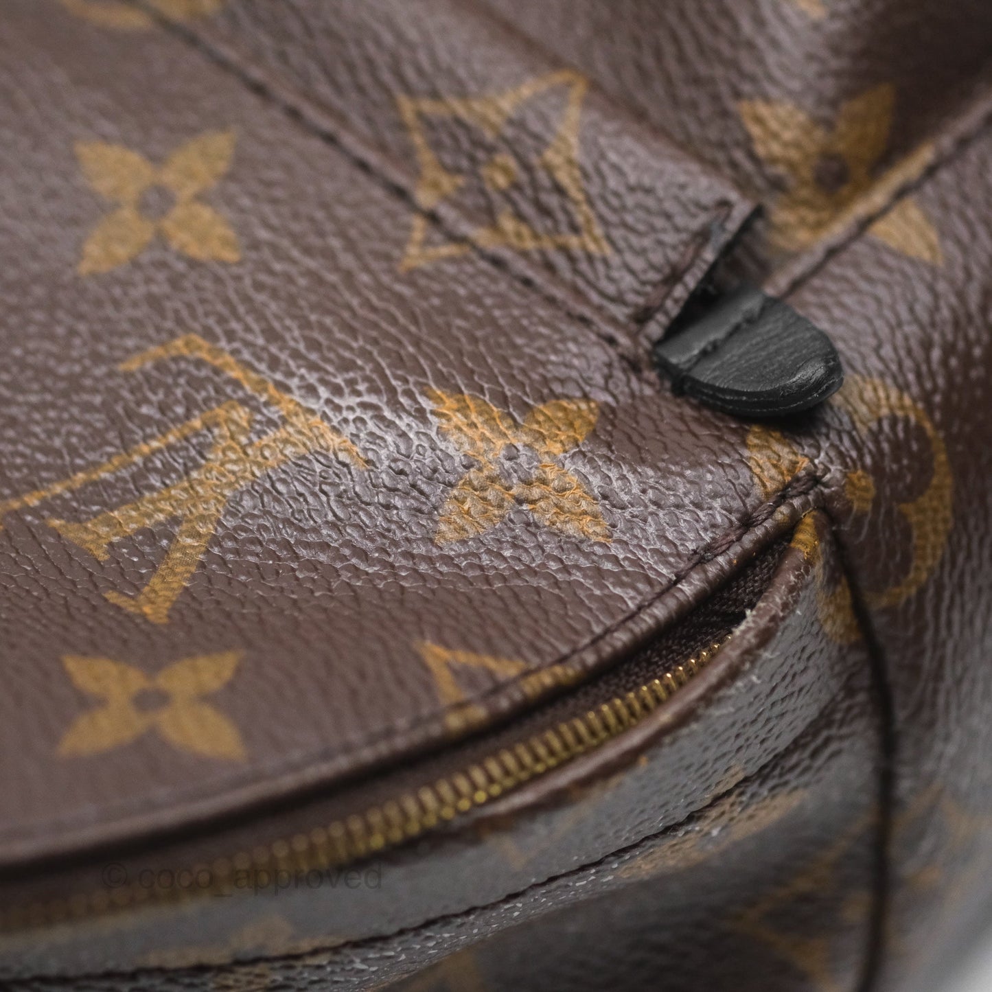 Louis Vuitton Monogram Mini Palm Springs Backpack⁣