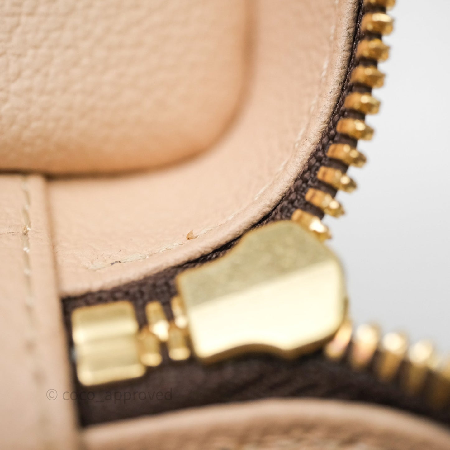 Louis Vuitton Nice Nano Monogram Canvas