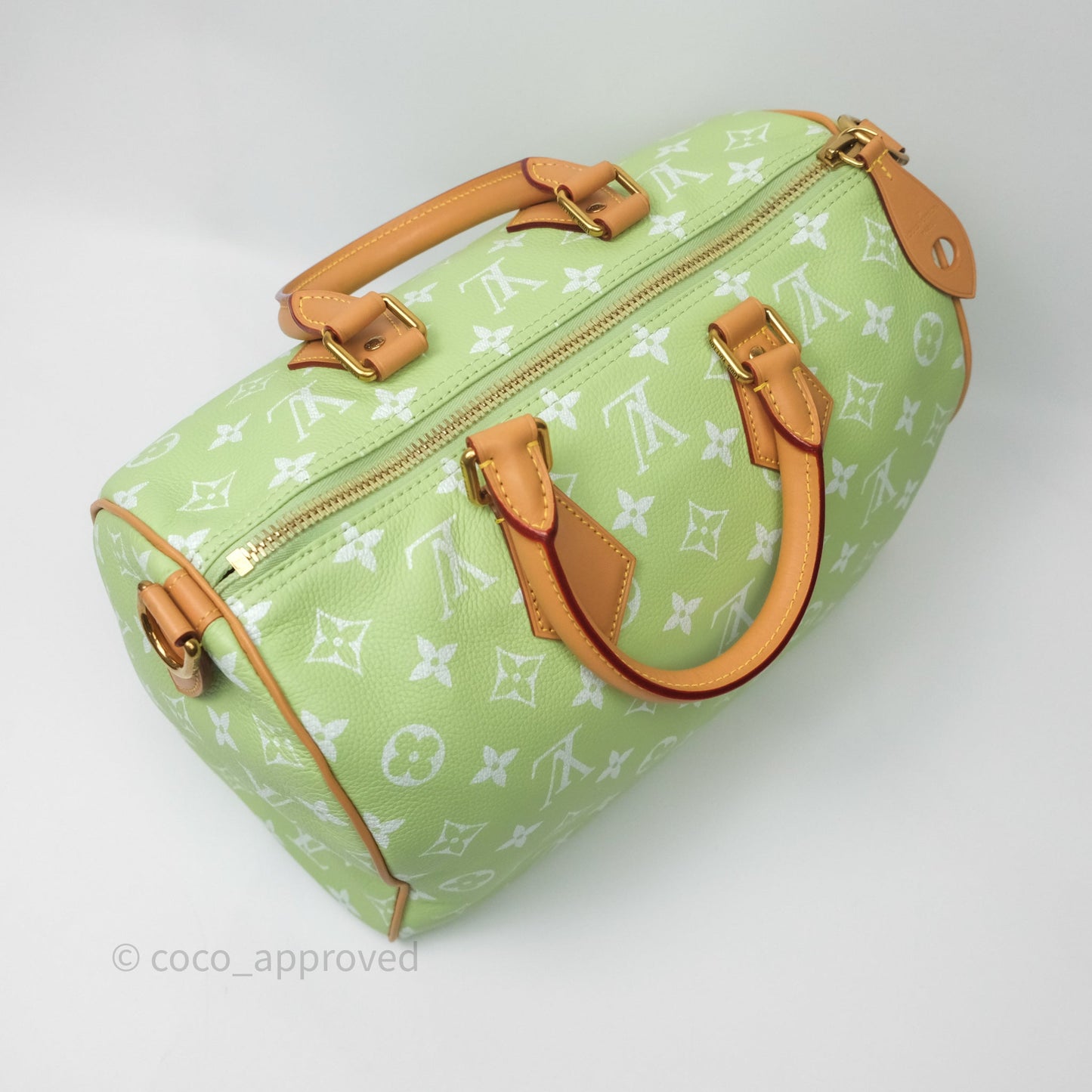 Louis Vuitton Speedy P9 Bandouliere 30 Vert Clair Bag