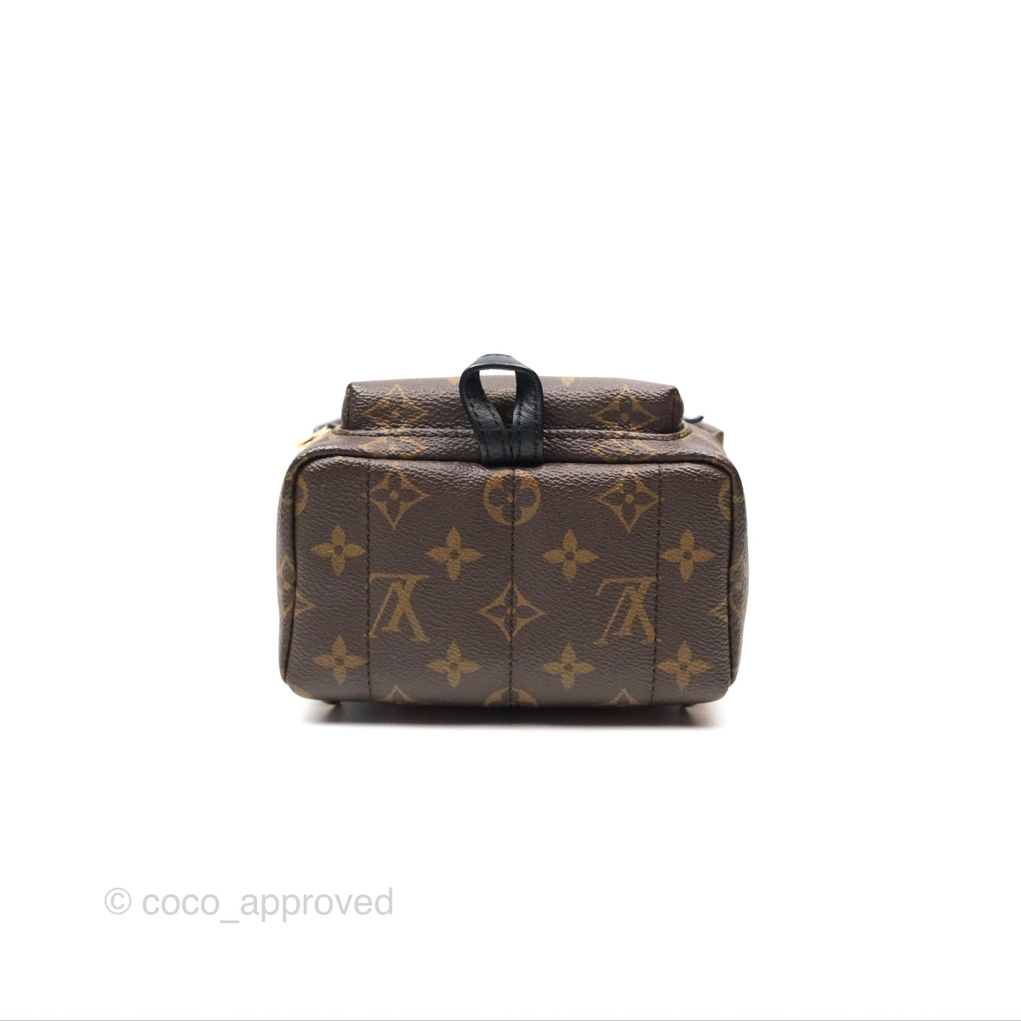 Louis Vuitton Mini Palm Springs Backpack⁣ Monogram